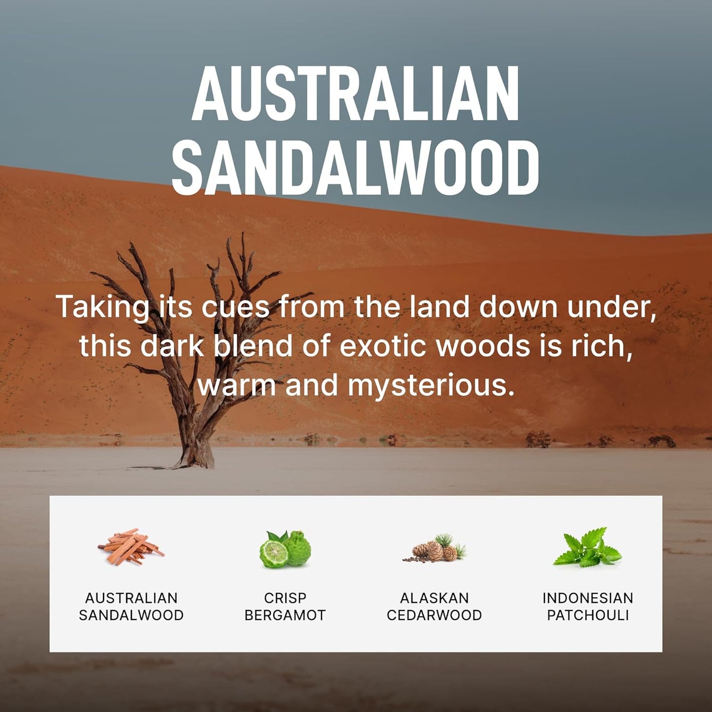 Laundry Sauce - Signature Bundle Australian Sandalwood, Scented Laundry Detergent Pods & Scent Booster, Fabric Softener, Dryer Sheets, Fabric Protection, Essential Oils, Long Lasting Luxury Fragrance