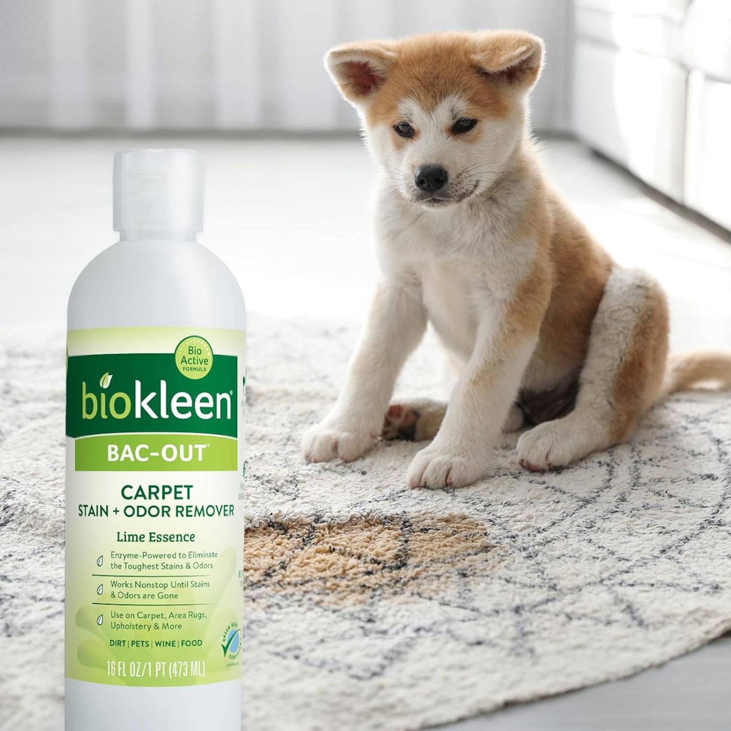 Biokleen Bac-Out Enzymatic Stain & Odor Remover for Carpet - Removes Stains and odors caused by dirt, pet accidents, wine, food, smoke - 2 Pack 32 oz w/Micro Cleaning Towel