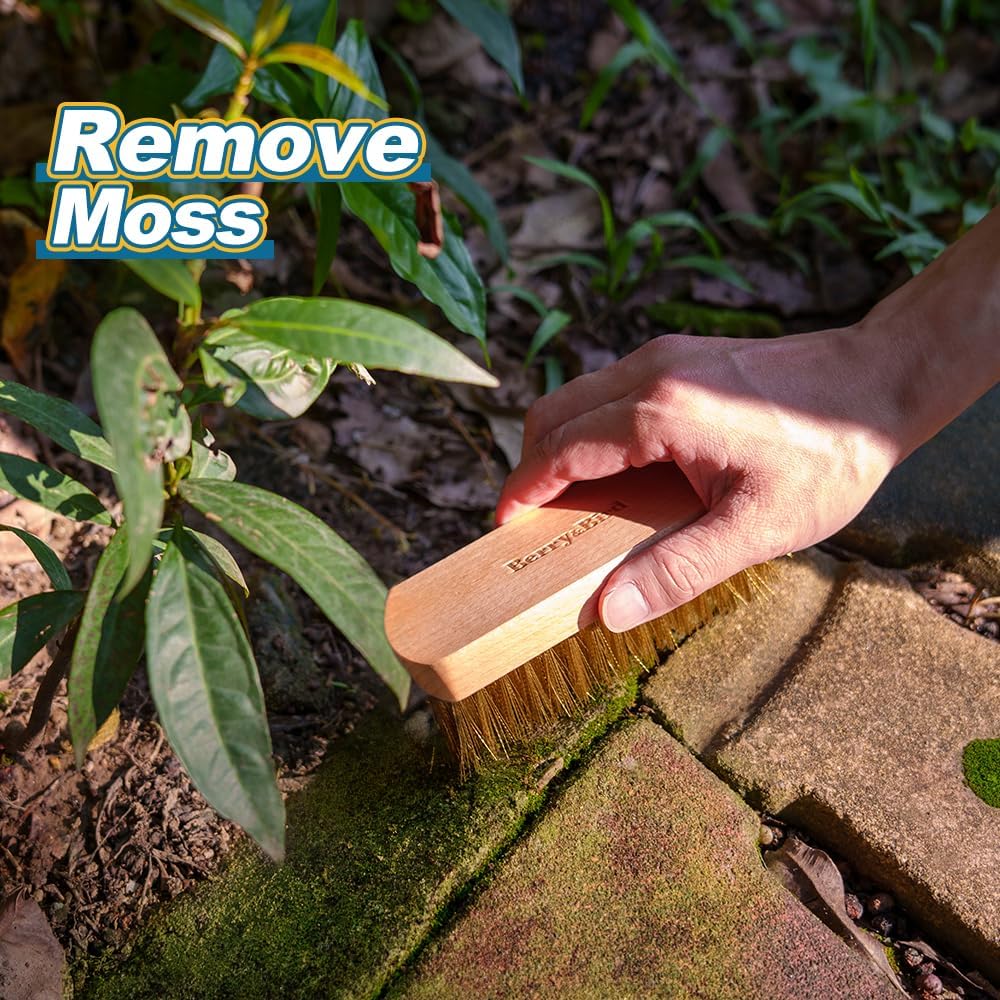 Berry&Bird Brass Brush, Ashwood Premium Brass Wire Brush with Cowhide Lanyard, Heavy Duty Wire Brushes for Cleaning Garden Tool, Rust Removal, Automotive, Paint