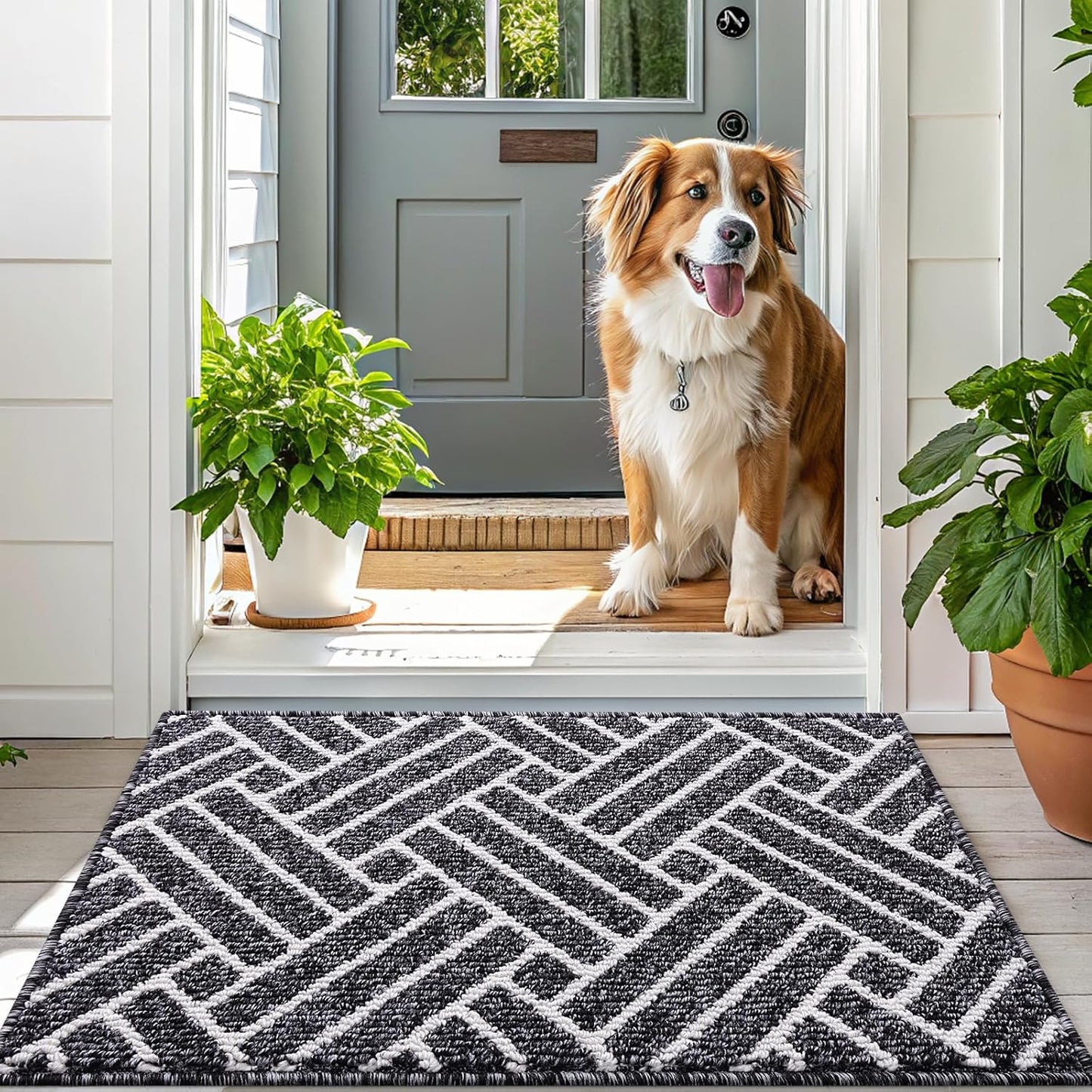 OLANLY Runner Indoor Door Mat, 59x23 Inch, Dirt Resistant and Absorbent, Non-Slip Rubber Backing Floor Mats, Easy Clean Low-Profile Doormat for Entryway, Front Door, and Inside Entrance, Black