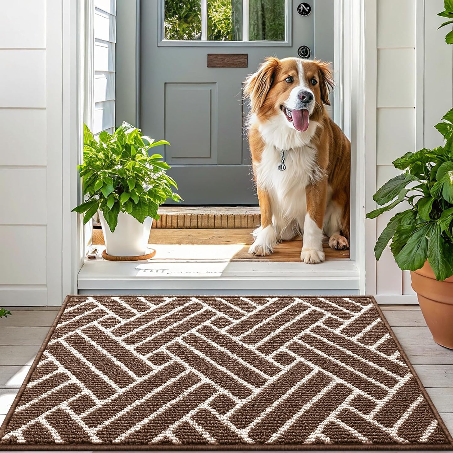 OLANLY Indoor Door Mat, 32x20 Inch, Dirt Resistant and Absorbent, Non-Slip Rubber Backing Floor Mats, Easy Clean Low-Profile Doormat for Entryway, Front Door, and Inside Entrance, Coffee
