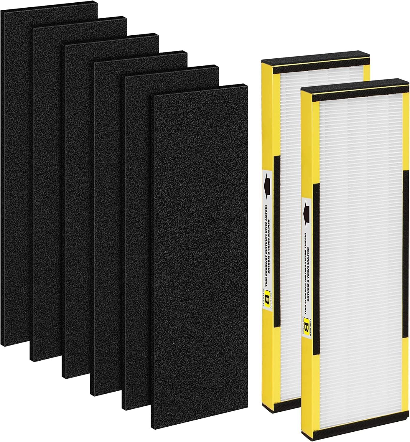 2 Pack FLT4825 HEPA Filter B Replacement Compatible with AC4825 AC4825E AC4300 AC4800 AC4900 AC4850, 2 True HEPA Filters & 6 Activated Carbon Pre-filters