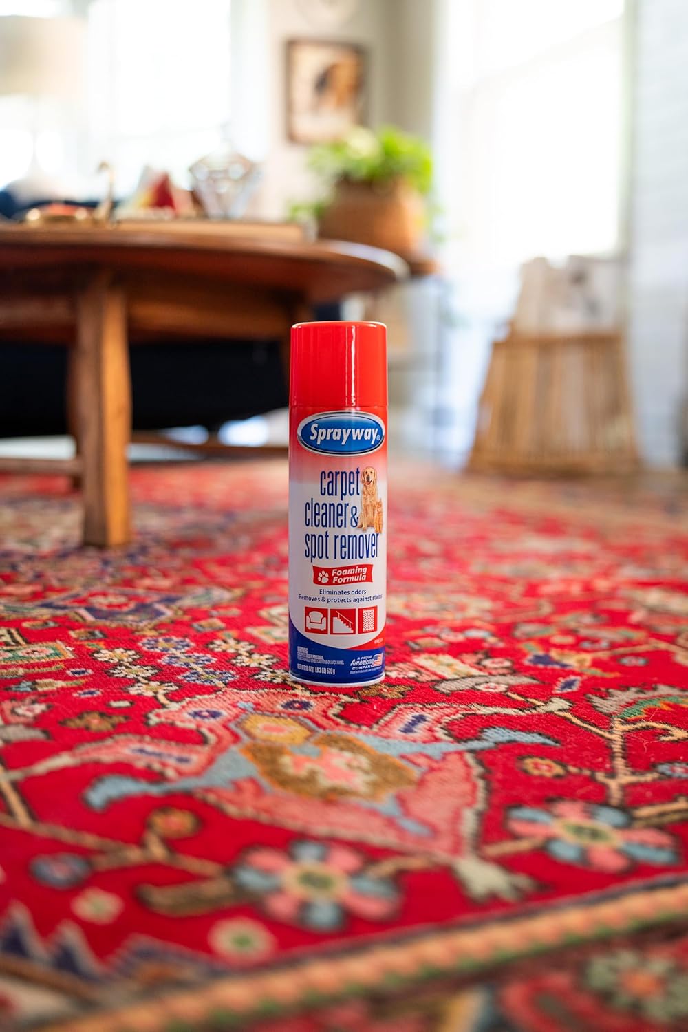 Sprayway Carpet Cleaner (Pet), 19oz, Pack of 6 | Removes Pet Stains & Odors, Foaming Action | Deep Cleans Carpets & Upholstery | Fresh Scent, Quick-Drying Formula