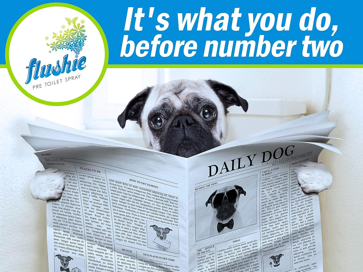 Flushie Pre-Toilet Spray for Poop Travel Size Toiletries Bathroom Spray for Poop Spray for Toilet Deodorizer Traveling Essentials Poop deodorizer Poop Odor eliminator… (Citrus, 1oz 4pack)