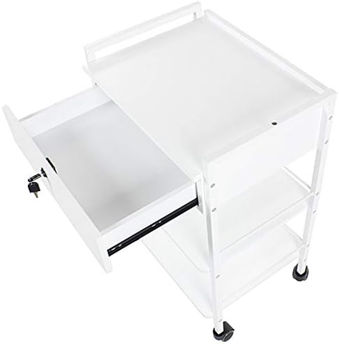 SKINACT Pro Single Drawer Cart Pro Medical Dental Mobile Utility Cabinet & Cart with Steel Frame and One Drawer