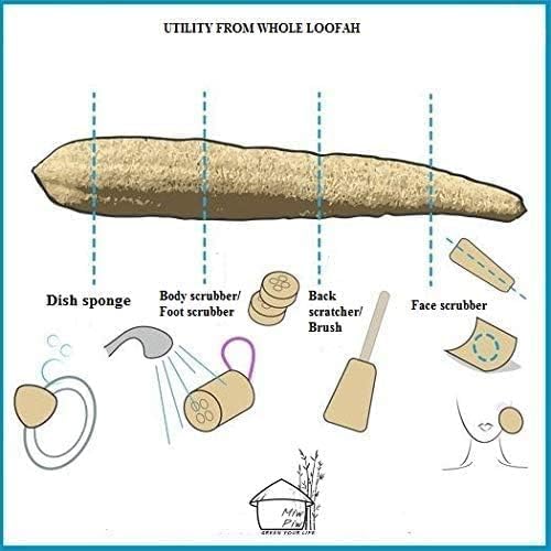 Natural Whole Loofah Dish Sponge (Pack 3) - Multipurpose Dish Sponges - 100% Biodegradable Compostable, Dishwashing Scouring Pad, Zero Waste