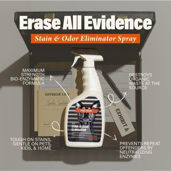 Pet Stain and Odor Eliminator Spray 32oz (1 Pack), Urine Odor Eliminator for Dogs and Cat Pee, Dog Urine Enzyme Cleaner for Dog Urine, Professional Strength Pet Oder Pet Stain Remover for Carpet Odor