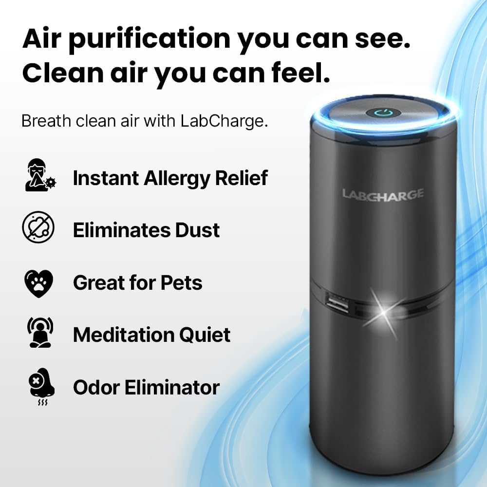 Lab Charge Small Ionic Air Purifier for Home & Bedroom – Silent HEPA Filter – Covers 250 Sq Ft - Free Cleaner for Pets, Hair, Smoke, Dust, Odors & Dander – Compact & Black Design - Pack of 4