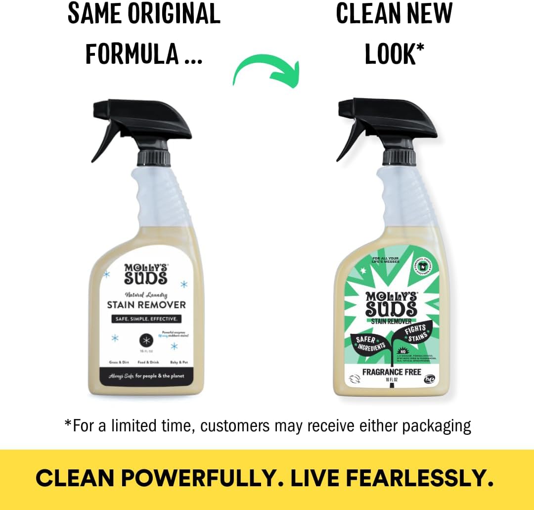 Molly's Suds Stain Remover Spray | Gentle Yet Powerful, Great for Baby & Pet Stains | Clean, Simple Ingredients (Fragrance Free) (16 Fl Oz (Pack of 2))