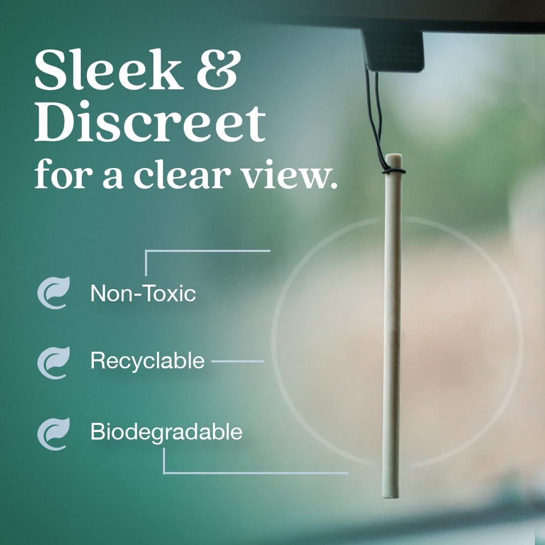 Enviroscent Non-Toxic Car Air Freshener (Seaside Coconut & Verbena) Natural Car Air Freshener | Essential Oil Diffuser | Car Scent Lasting Over 180 Days | 3 Packs of 2 Hanging Auto Stix