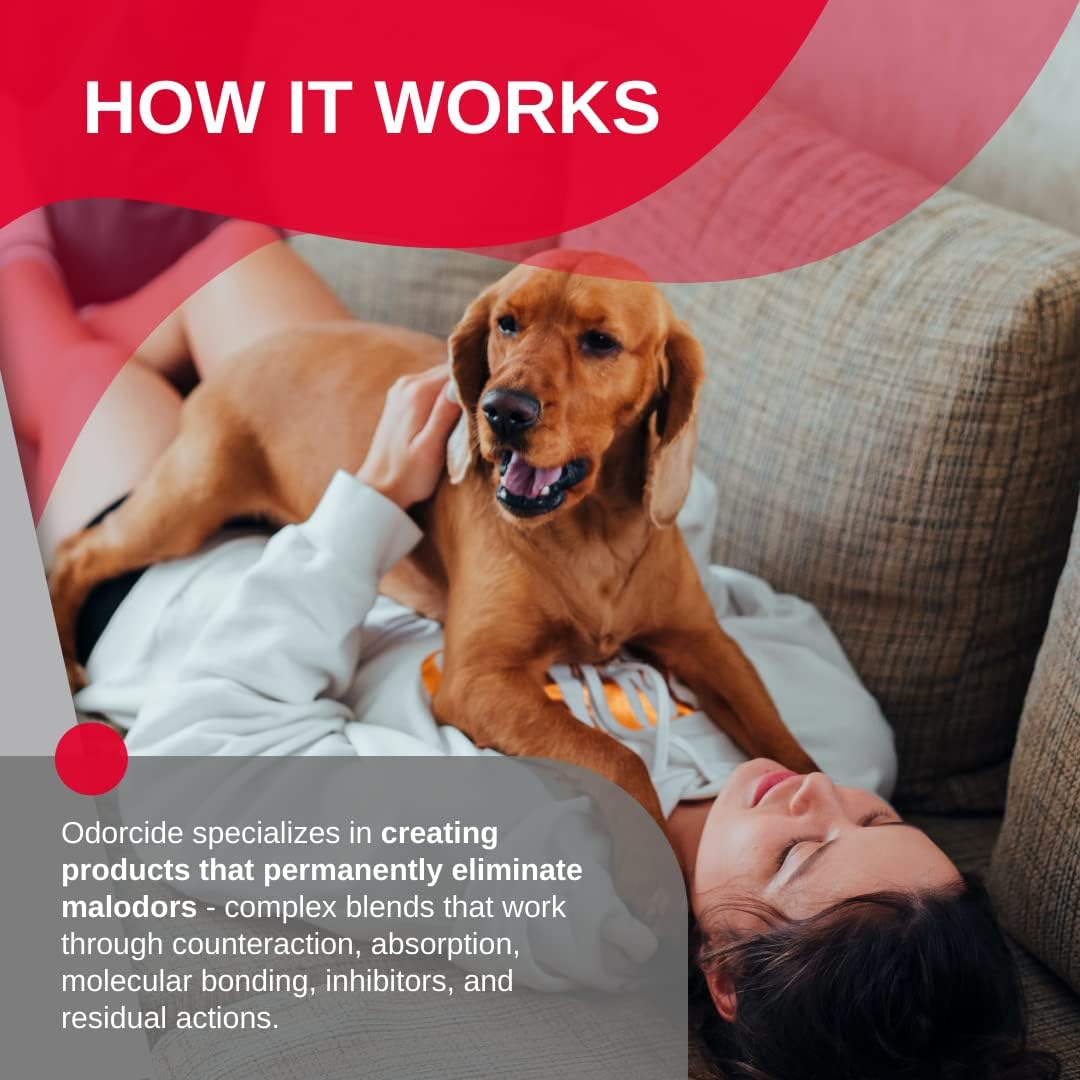 Odorcide Odor Eliminator Concentrate: Odor Eliminator for Strong Odor on Carpets, Hardwood & More - Smoke, Sweat & Pet Odor Eliminator for Home w/Non-Enzymatic Formula, 16 oz…