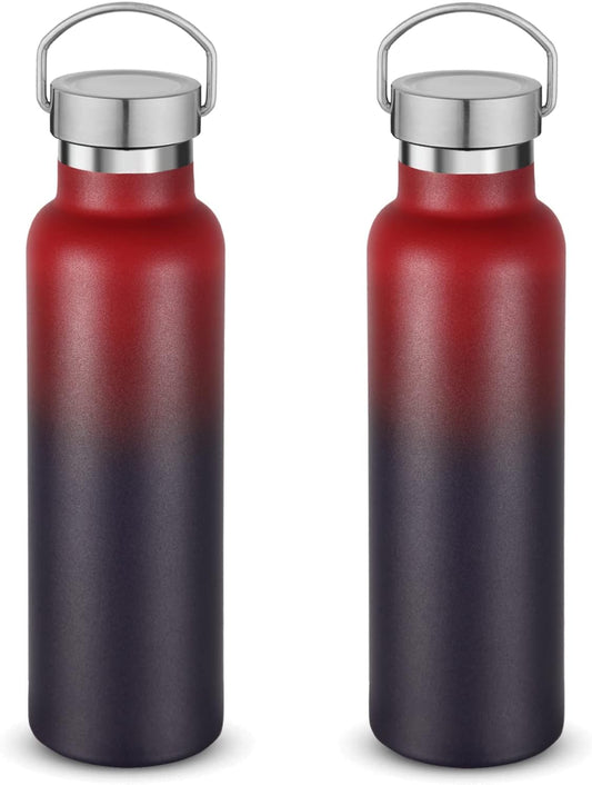 Neihepal 20 oz Insulated Water Bottles Bulk 2 Pack,Stainless Steel Double Wall Sport Bottle with Lid of Handle,Metal Reusable Thermoses Flask for School,Cyclists,Hikers,Gift (Dark Rainbow,Set of 2)