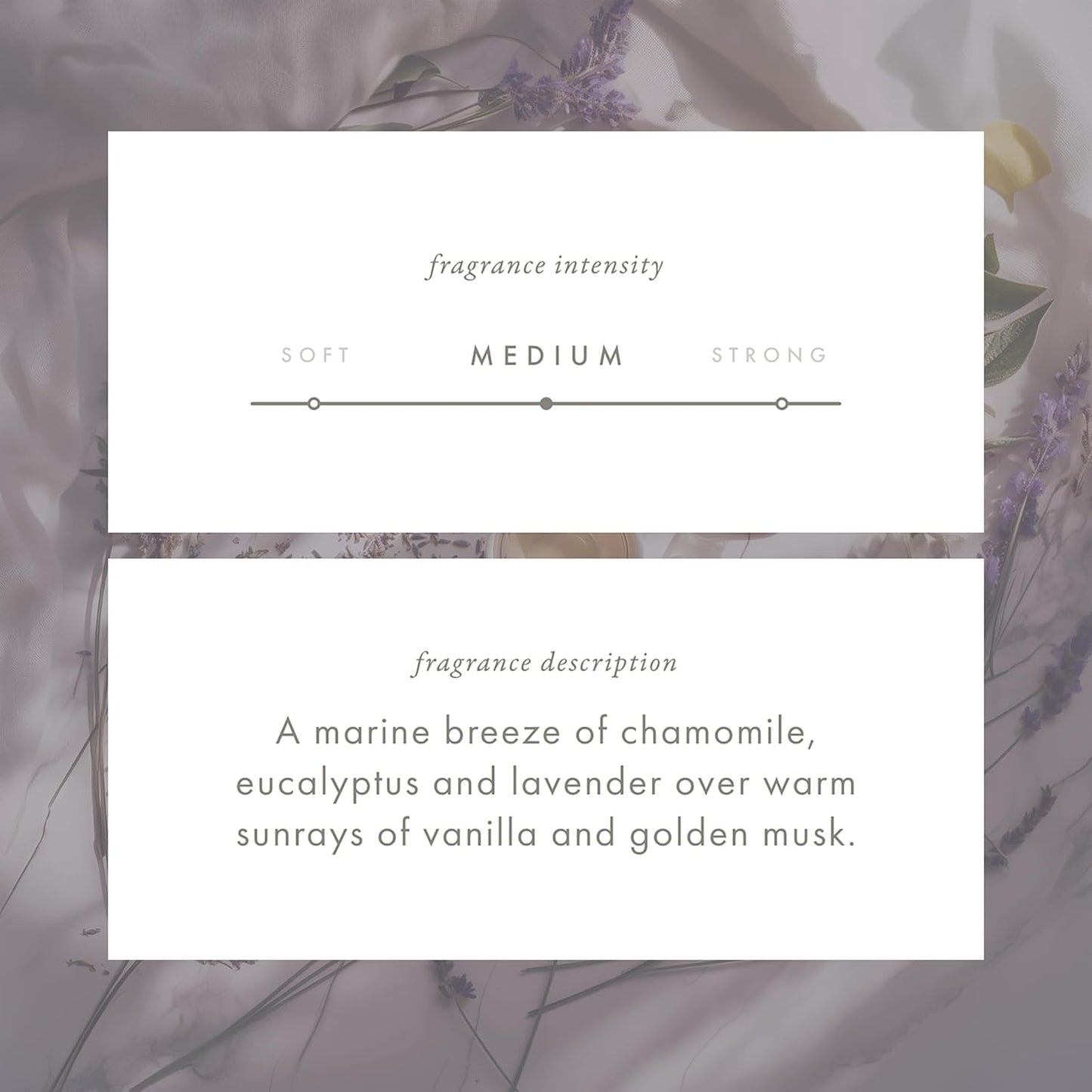 ScentAir Whisper Home Monthly Plug-in Refill, Fragrance Cartridge for Home and Office, Coastal Lavender Pet Calming