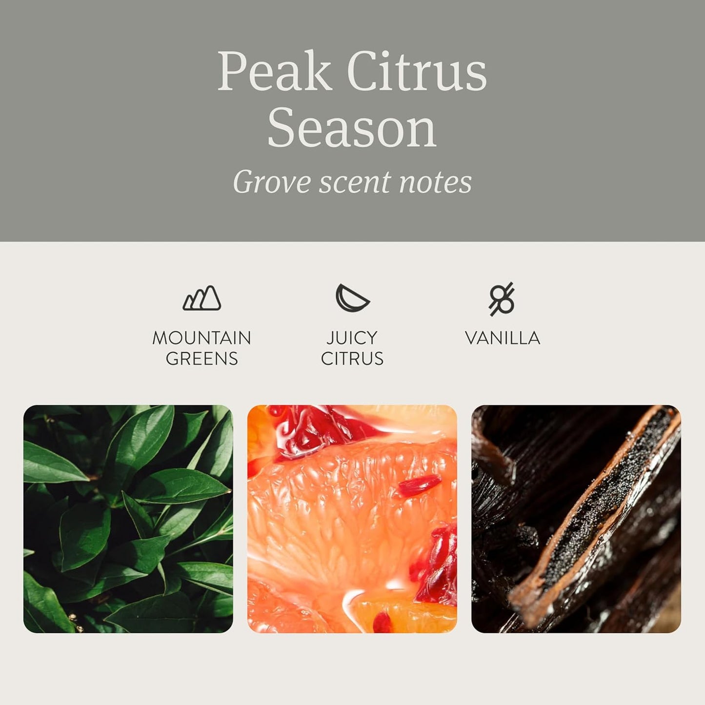 Drift Car Air Freshener - Stone Air Freshener Car Odor Eliminator - Long Lasting Scent - Auto Accessories - Metal Clip - Essential Oils - Clean Ingredients - Grove Scent Starter Kit