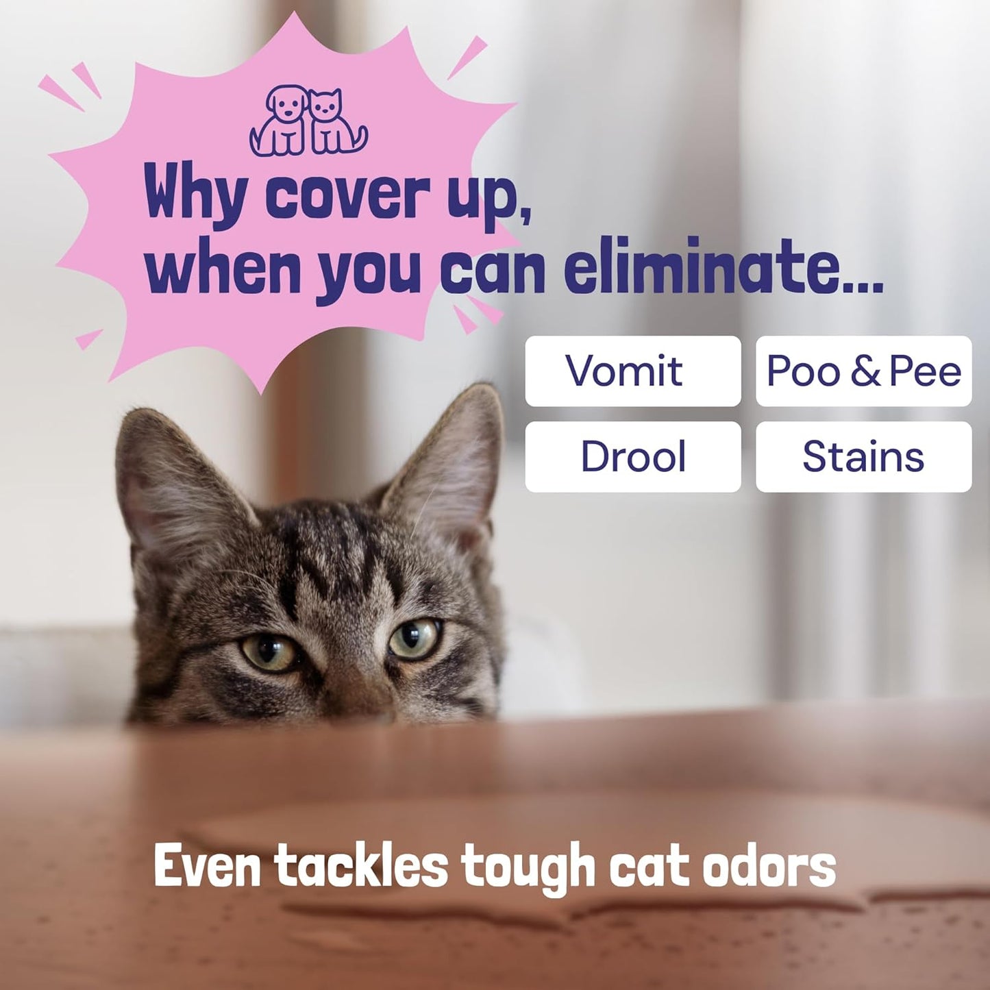 Sunny & Honey Pet Stain & Odor Miracle - 1 Gallon (128 Fl Oz), Light Lavender Scent - Carpet Cleaner - Enzyme Cleaner for Dog Urine & Cat Pee - Pet Stain Remover - Dog & Cat Urine Odor Eliminator
