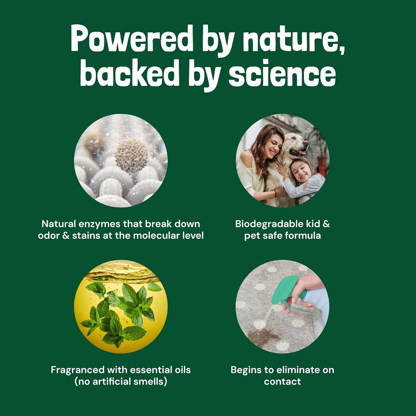 Sunny & Honey Pet Stain & Odor Miracle - 32 Fl Oz, Spring Mint Scent - Carpet Cleaner & Enzyme Spray for Carpets, Mattresses & Upholstery - Rug Shampoo & Dog Pee Cleaner & Odor Remover