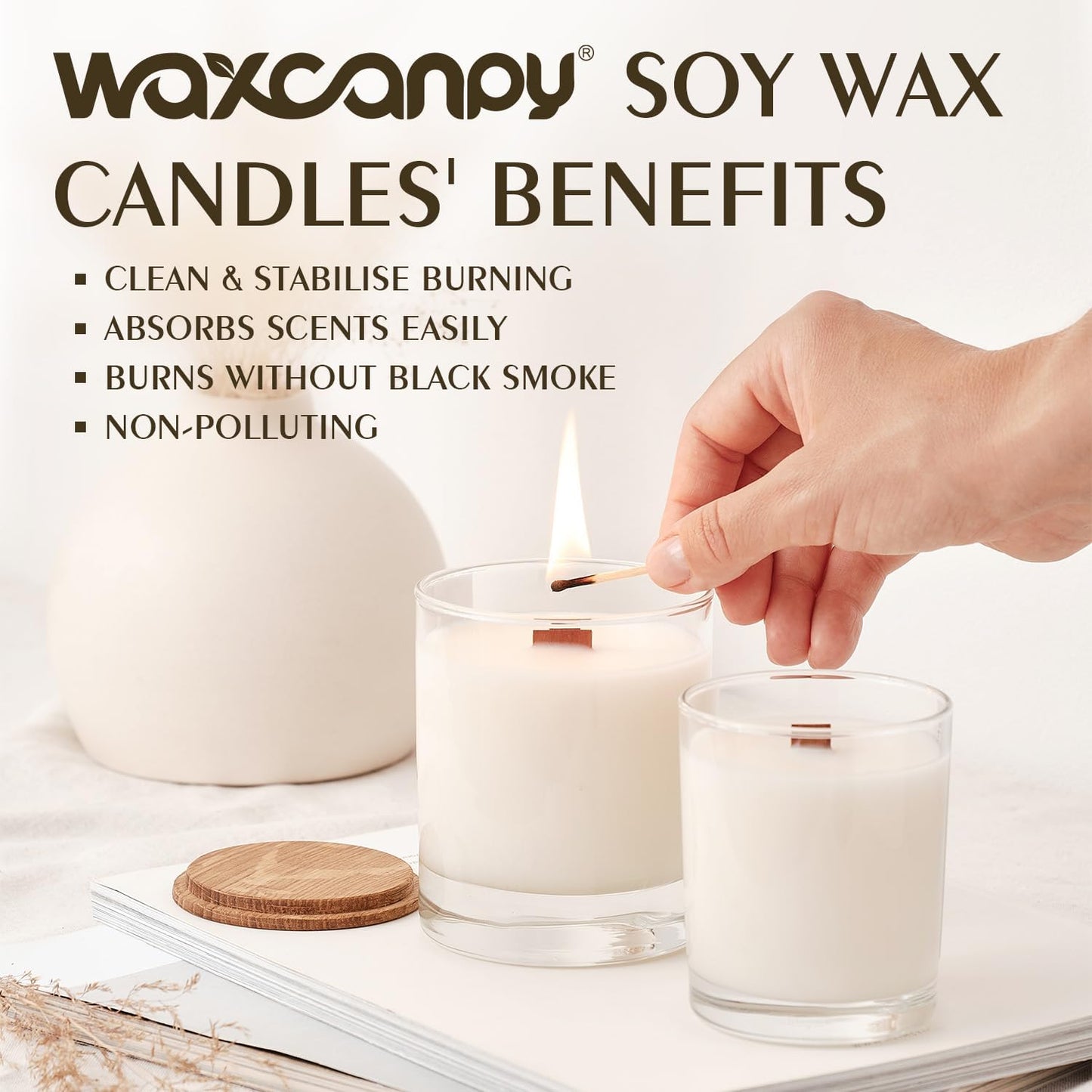 Soy Wax Flakes, Waxcanpy Natural Candle Wax, Organic Soy Wax for Candle Making from Farm, No Additives, Harmless and Pure (2lb)