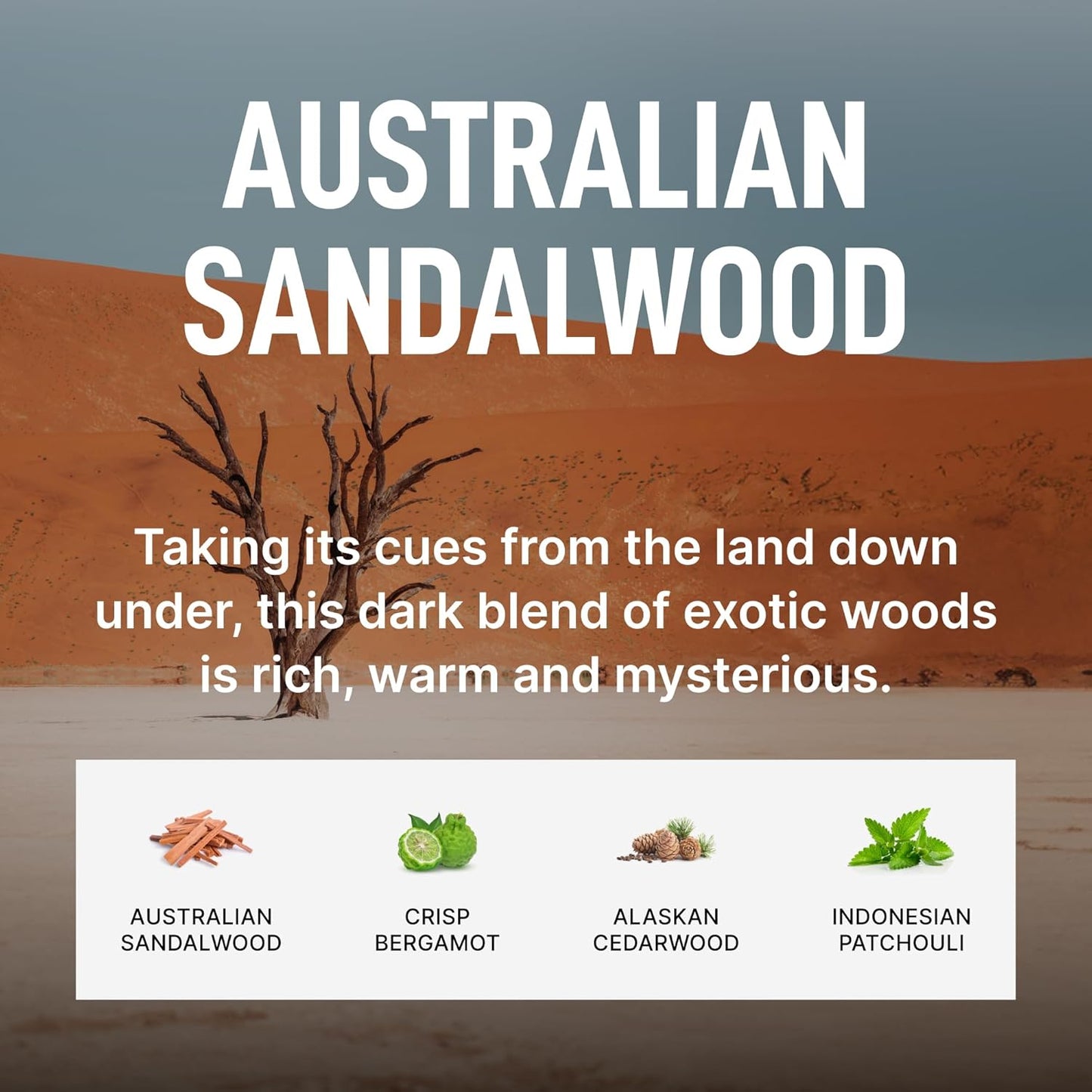 Laundry Sauce - Luxury Scented Laundry Detergent Pods & Scent Booster Bundle (Australian Sandalwood), Premium Laundry Washing Pods with High-End, Sophisticated Fragrances, Dye Free & HE Compatible