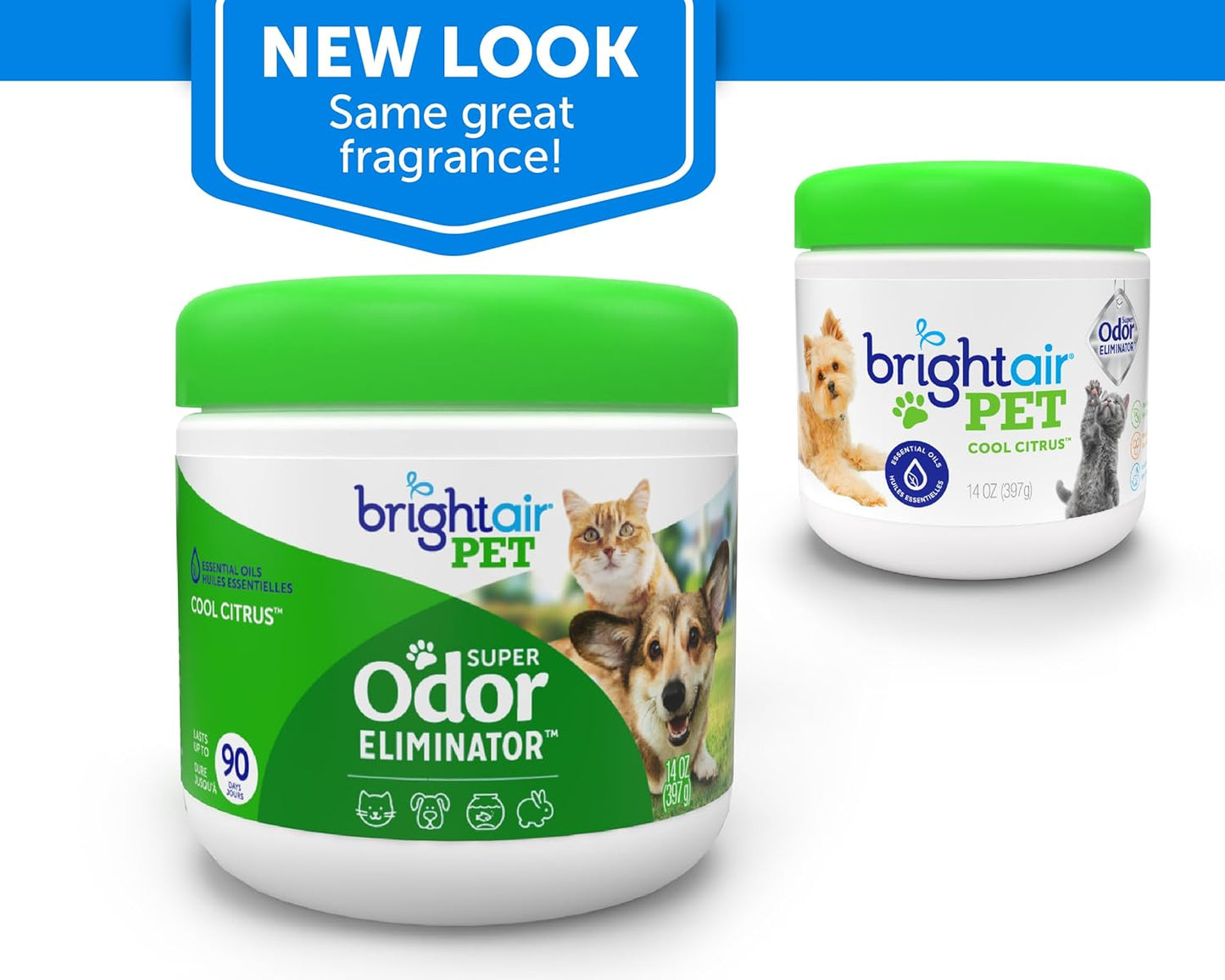 Bright Air 14 oz. Super Odor Eliminator, for Medium-Size Spaces, Cool Citrus Scent, Case of 6, Air Freshener, Natural Essential Oils, Lasts Up to 90 Days Each