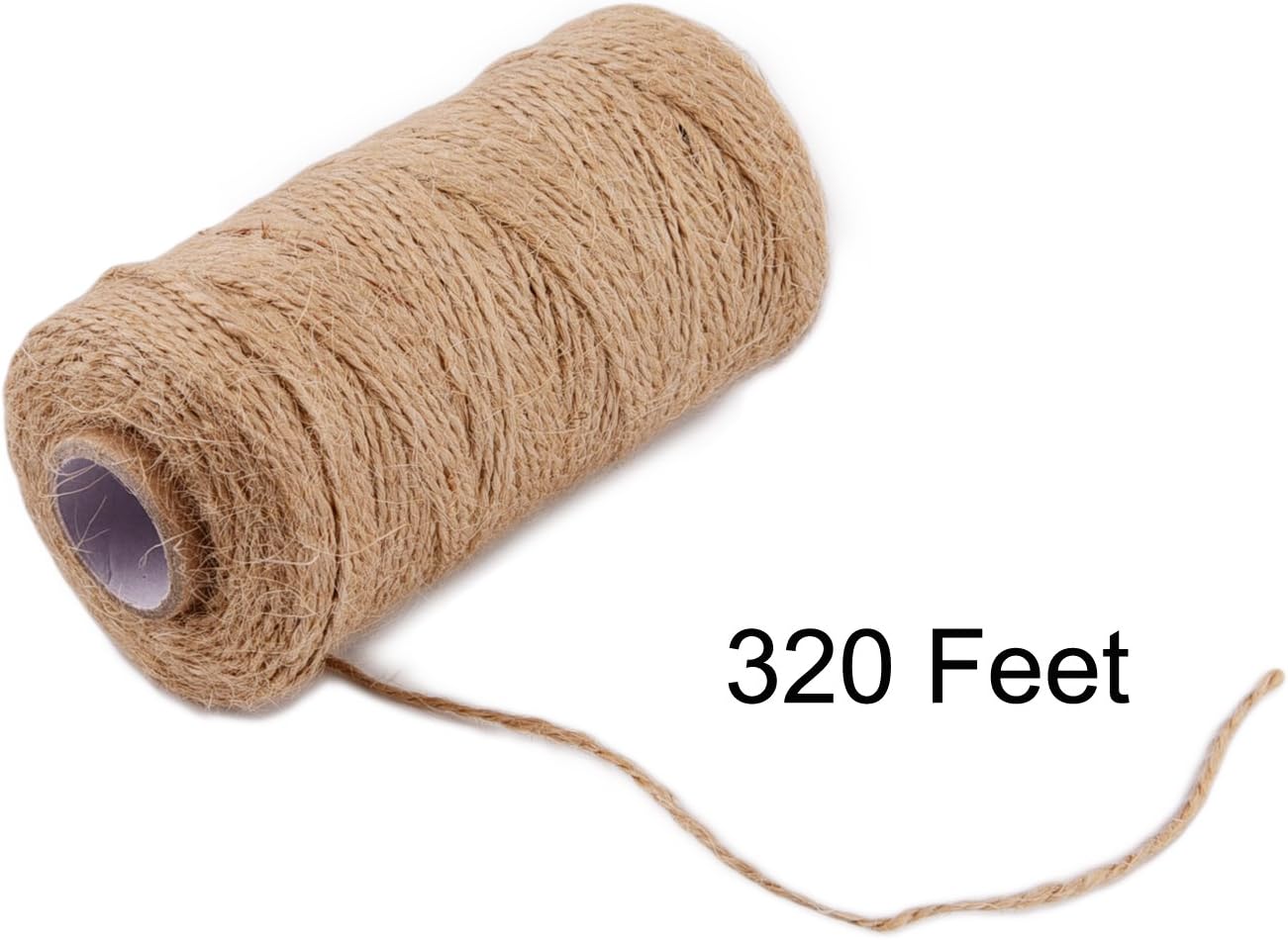 320 Feet Jute Twine and 100 Pieces Mini Natural Wooden Craft Clothespins Pegs Clips
