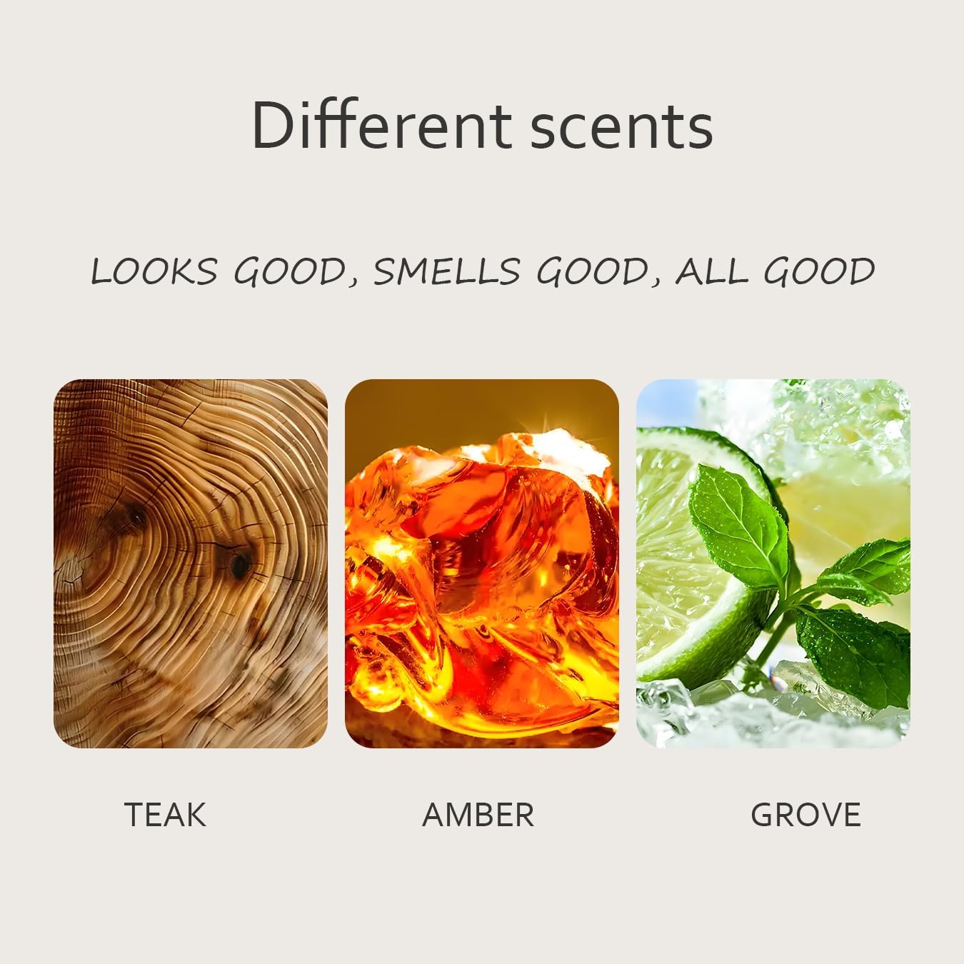 Car Air Freshener, Woodiness Air Freshener, Odor Eliminator, Woodiness Scent Starter Kit Car Visor (Pack of 3, No clip included)