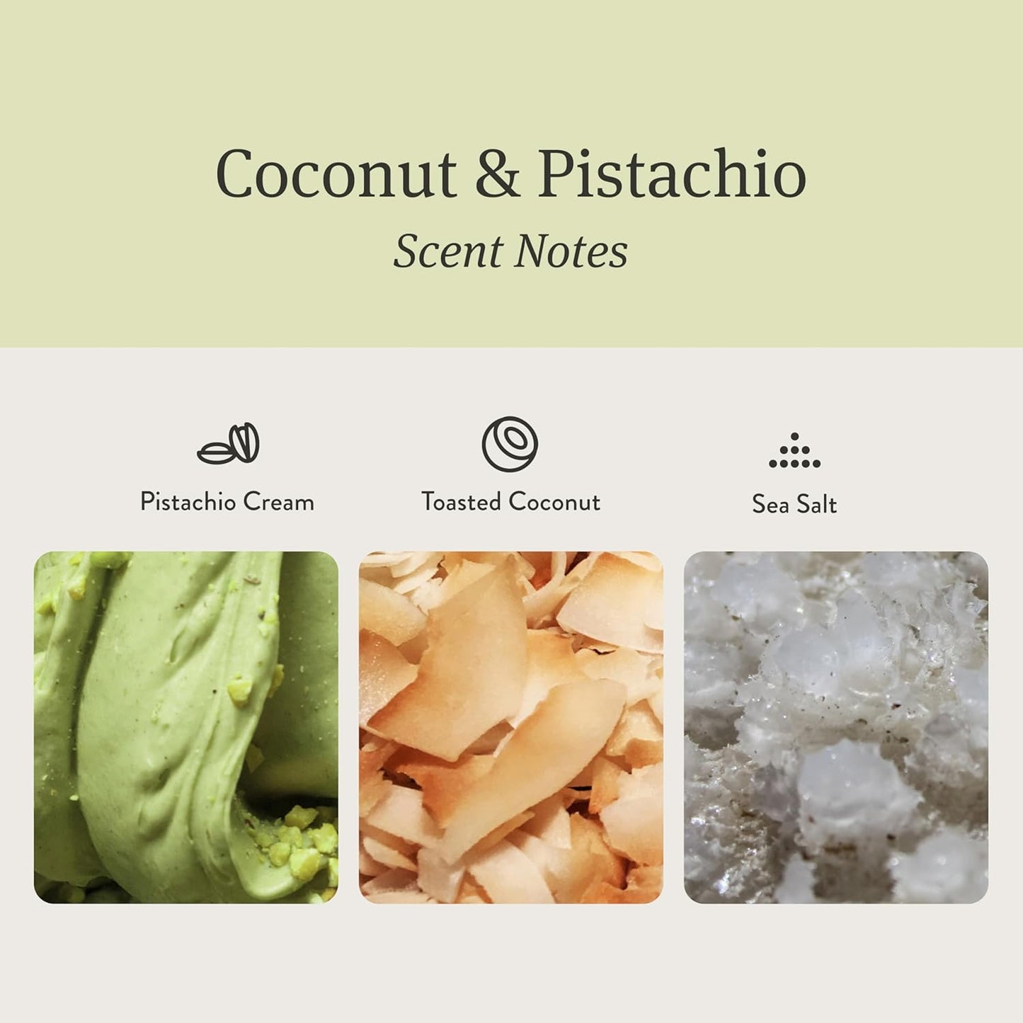 Drift Car Air Freshener - Stone Fragrance - Automotive Odor Eliminator - Long Lasting Scent - Scent Refill - Coconut & Pistachio Starter Kit