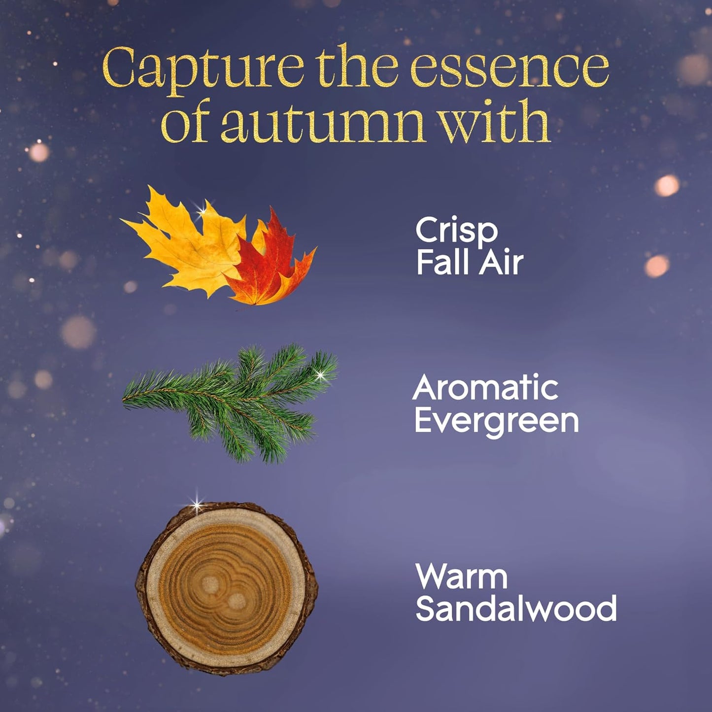 Glade Automatic Spray Refill, Embers & Sandalwood, Scented Air Freshener for Home and Bathroom, 6.2 Oz