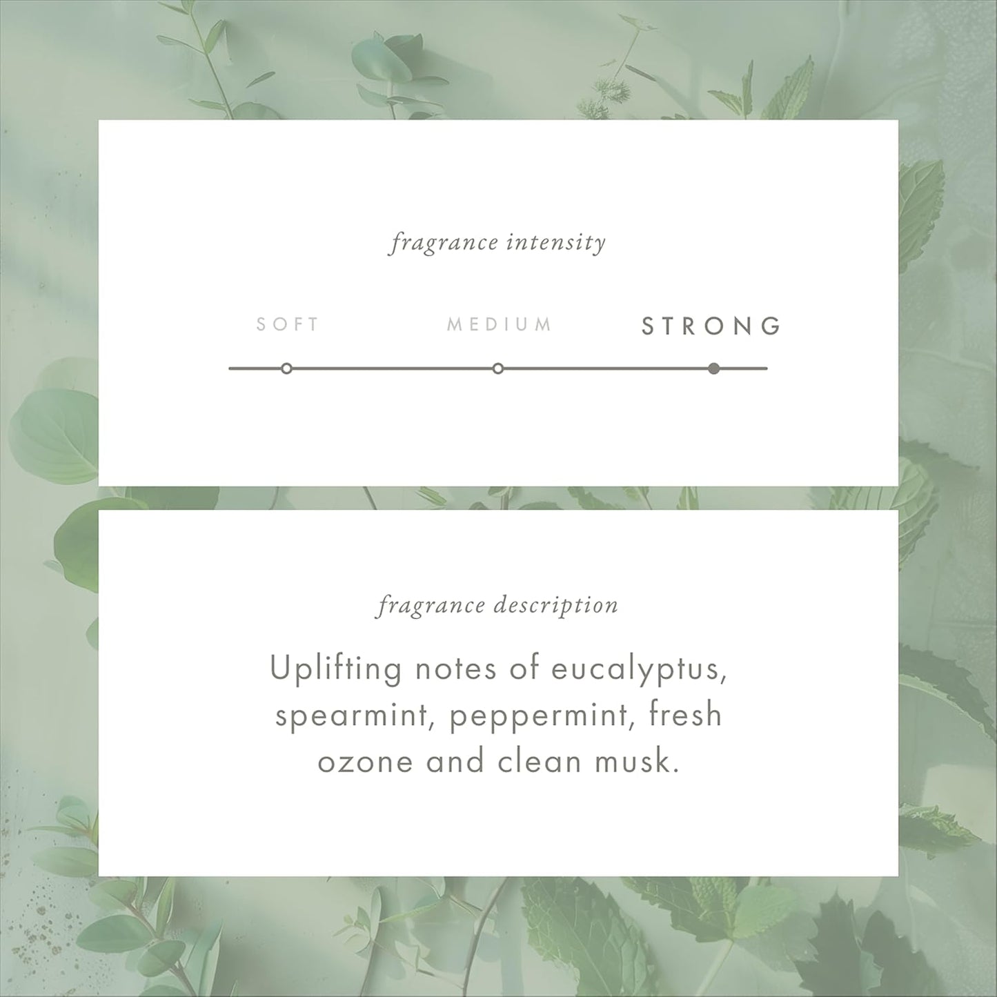 ScentAir Whisper Home Monthly Plug-in Refill, Fragrance Cartridge for Home and Office, Eucalyptus Mint