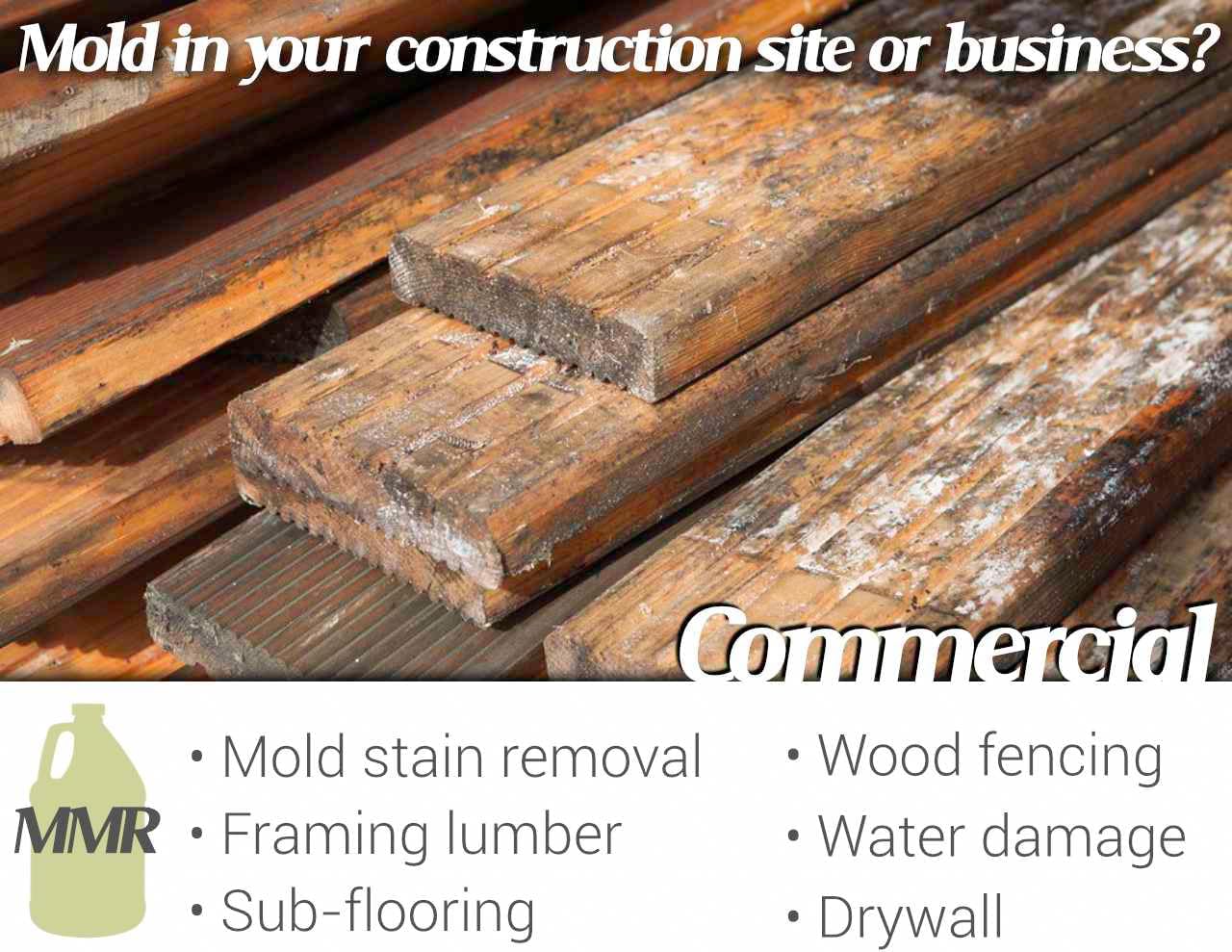 Bad Axe MMR Instant Mold Stain and Mildew Stain Remover - Professional Strength, Contractor Grade Cleaning Solution, Professional Quality Formula, Odor Removal, 1 Gallon (4)