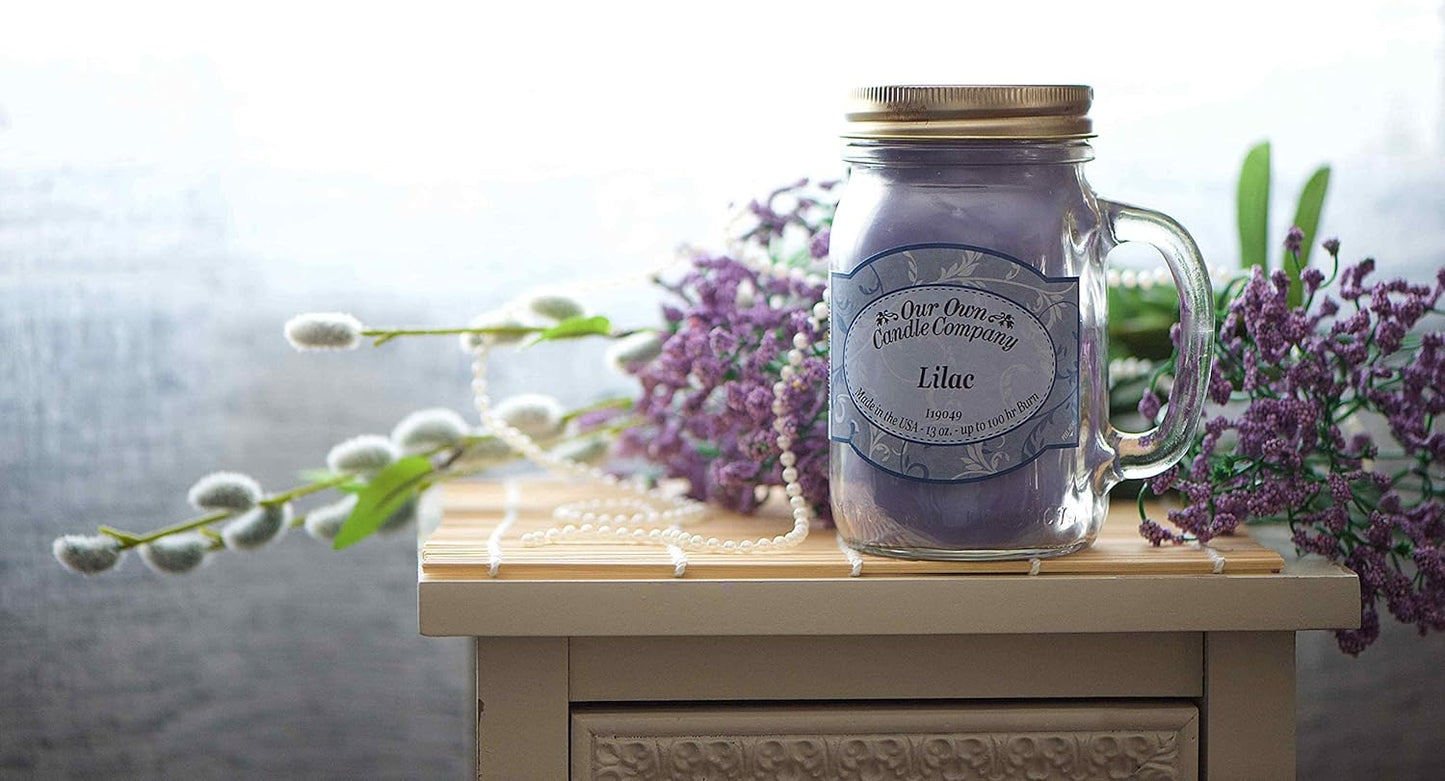 Our Own Candle Company Premium Wax Melt, Coconut Banana, Himalayan Sea Salt, Lilac, and Strawberry Melon, Spring Variety Pack, 6 Cubes, 2.4 oz (4 Pack)