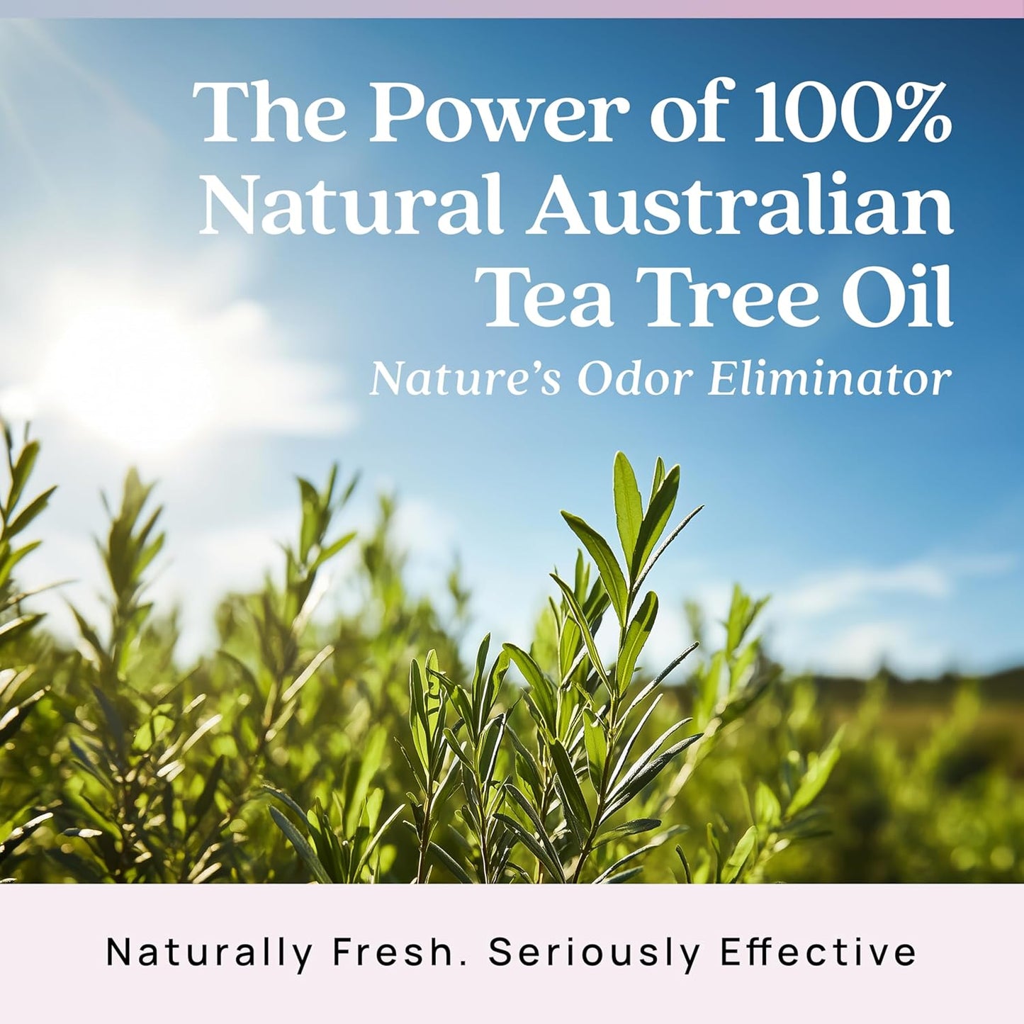 Azuna Air Freshener & Odor Eliminator for Strong Odor | 4 Room Kit Includes (4) Empty Luxe Glass Jar & 24oz Gel Refill with Tea Tree Essential Oil | Aromatherapy | Last 60-90 Days