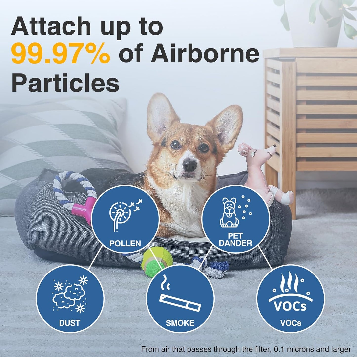 HPA300 HEPA Air Purifier Filter R for Honeywell Air Purifier HPA100/200/300 and 5000 Series, 6 Pack HEPA Filter Compatible with Honeywell R Filter (HRF-R3 & HRF-R2 & HRF-R1)