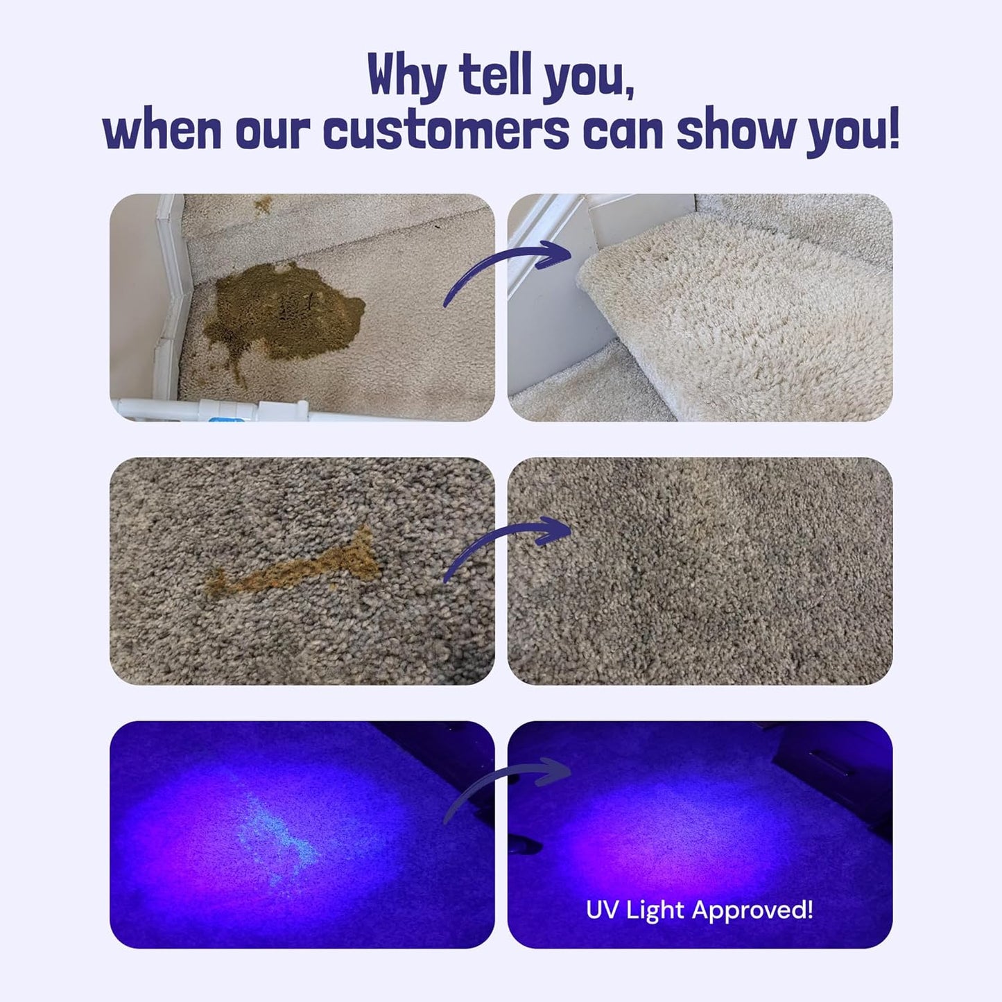 Sunny & Honey Pet Stain & Odor Miracle - 1 Gallon (128 Fl Oz), Light Lavender Scent - Carpet Cleaner - Enzyme Cleaner for Dog Urine & Cat Pee - Pet Stain Remover - Dog & Cat Urine Odor Eliminator