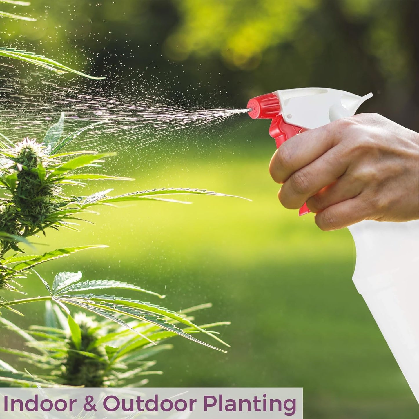 DilaBee Plastic Spray Bottle (2 Pack) - 16oz Empty Spray Bottles for Cleaning, Gardening & Grilling - Leakproof & Adjustable Nozzle Water Spray Bottle - Heavy Duty & BPA Free Plastic Spray Bottles