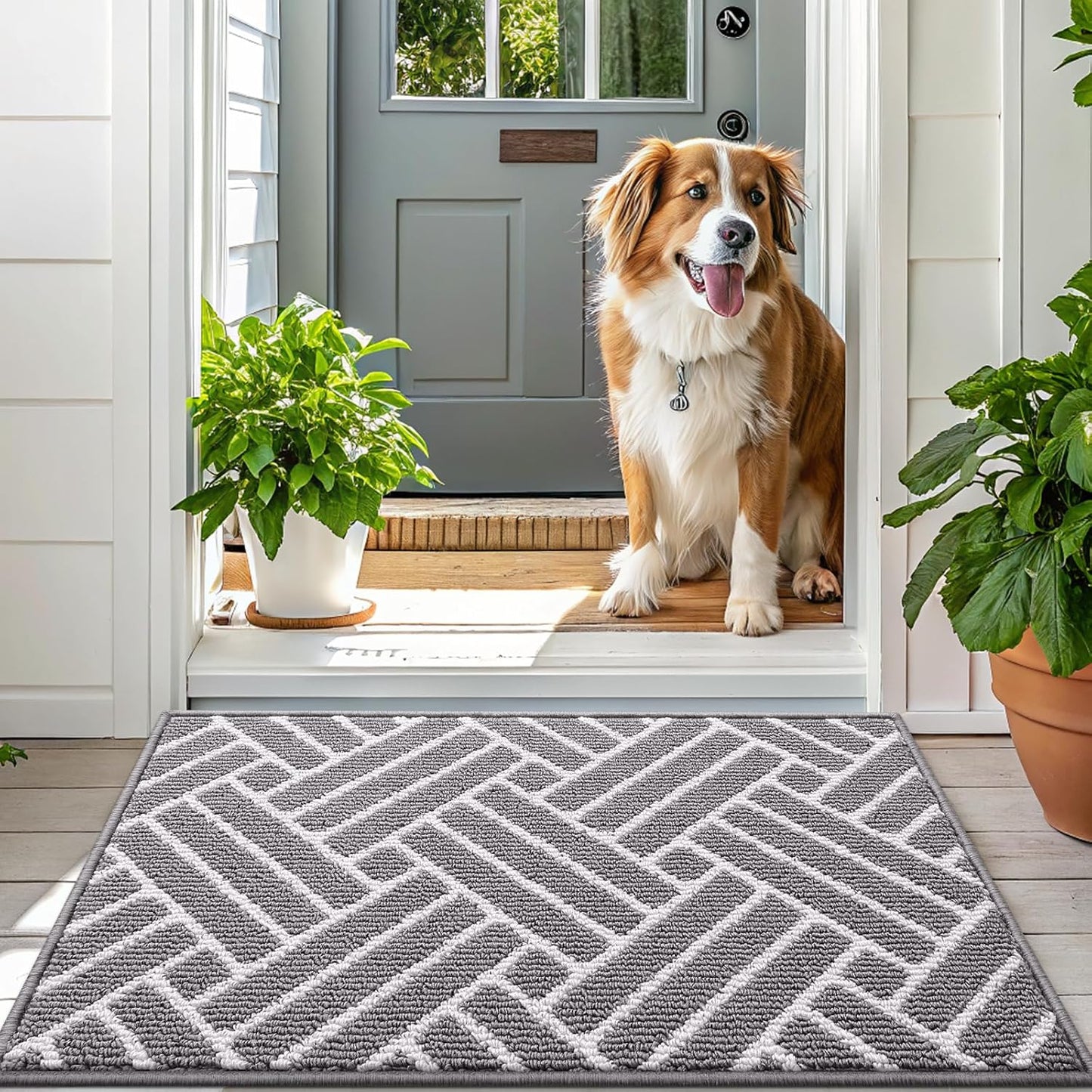 OLANLY Runner Indoor Door Mat, 70x23 Inch, Dirt Resistant and Absorbent, Non-Slip Rubber Backing Floor Mats, Easy Clean Low-Profile Doormat for Entryway, Front Door, and Inside Entrance, Grey