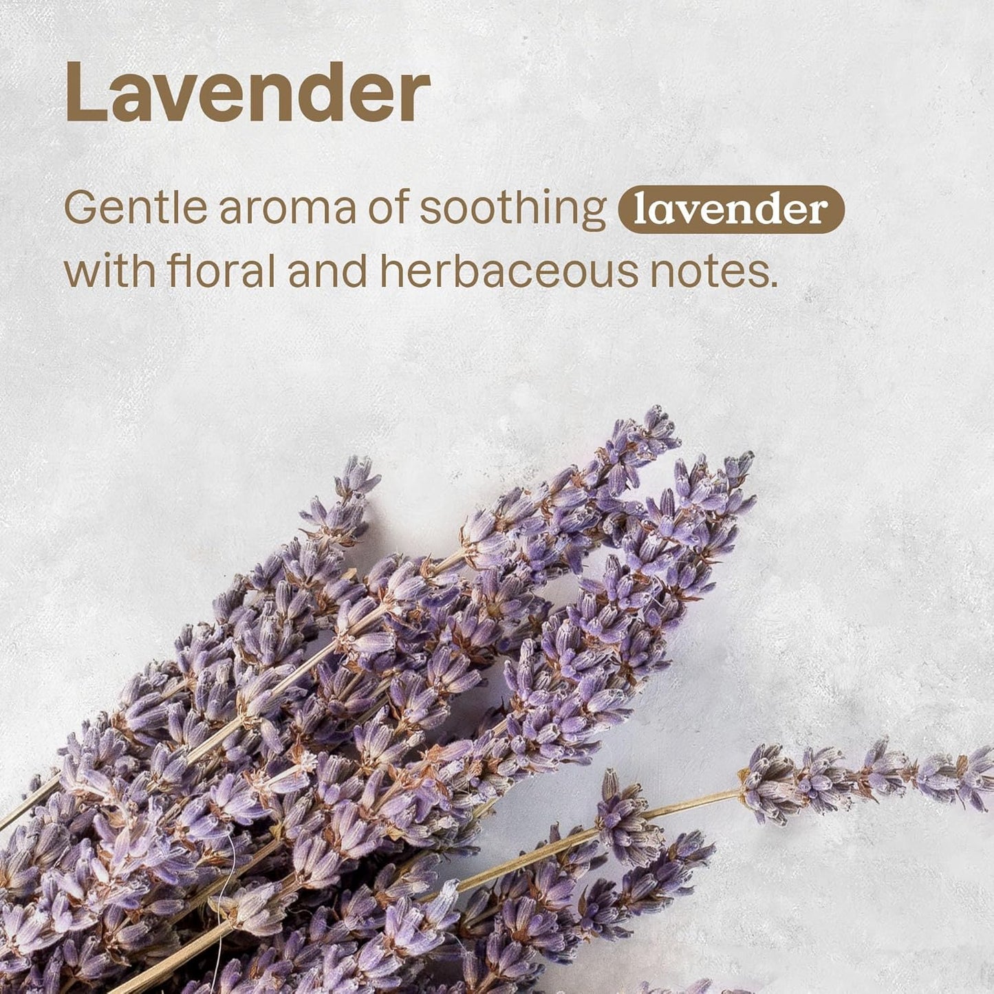 ATTITUDE All Surface Cleaner for Pets, Plant and Mineral-Based Ingredients, Vegan and Cruelty-free, Bulk Refill, Lavender, 67.62 Fl Oz