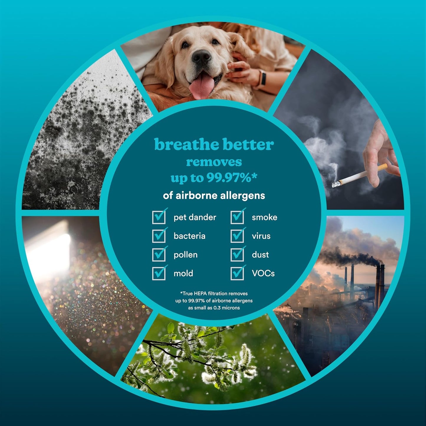 Homedics Smart Air Purifier 4-in-1 Tower for Large Rooms, Up To 1570 sq ft, True HEPA Filtration, UV-C Technology, Activated Carbon Odor Filter, Reduces Bacteria, Virus, VOCs, Wi-Fi and Voice Control