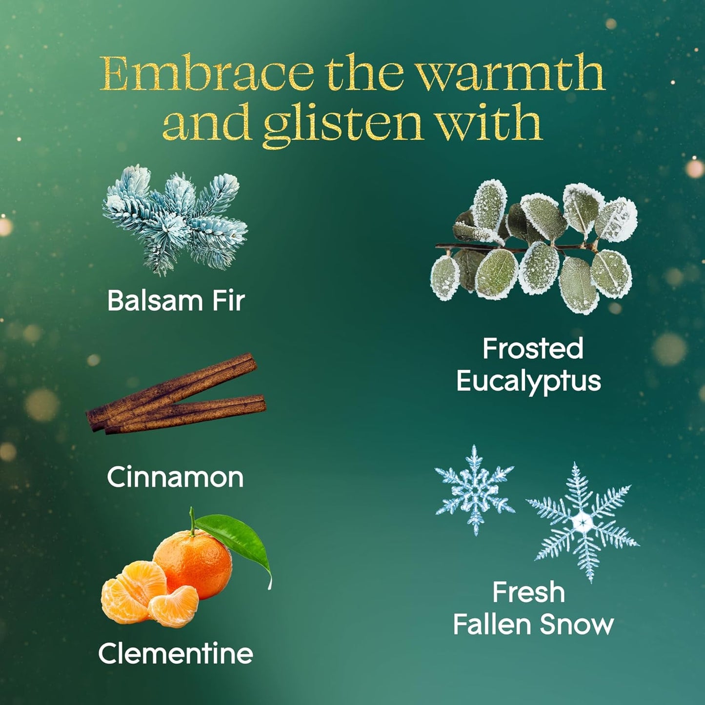 Glade PlugIns Refills Air Freshener, Balsam & Spruce and Bergamot & Eucalyptus, Scented and Essential Oils for Home and Bathroom, 0.67 Fl Oz, 5 Count