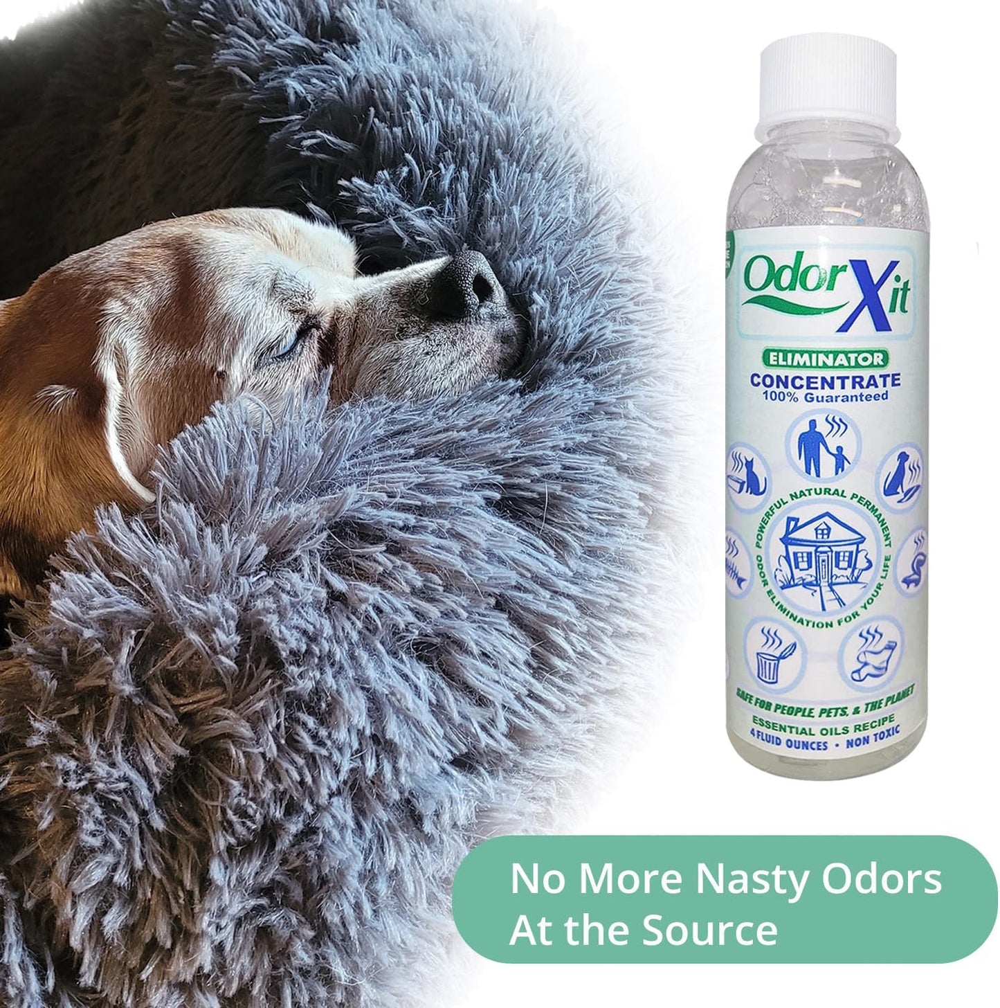 Concentrated Pet Urine Odor Eliminator, Ideal for Cat, Dog Poo and Urine Smell, Versatile & Natural Odor Neutralizer for Home and Outdoor Use, Deodorizer & Absorber, Concentrate, 4oz