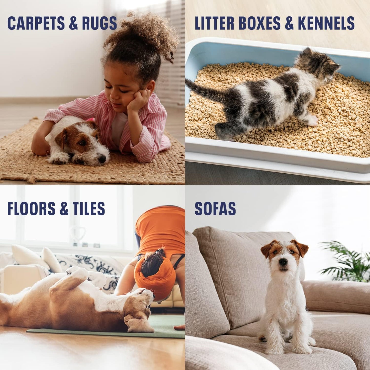 Bioesque Urine Neutralizer, Pet-Friendly Natural Enzymatic & Bacterial Formula, Instantly Breaks Down Urine Odors, Helps Prevent Repeat Mishaps, 1 Gallon (Pack of 4)