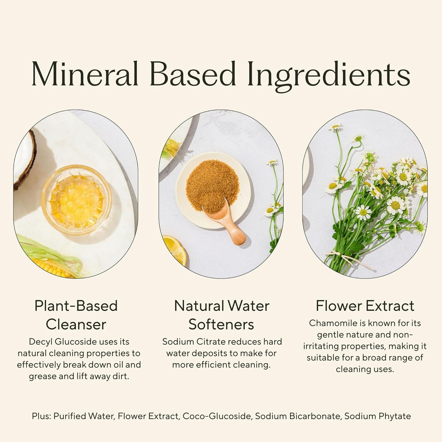 Branch Basics Concentrate Refill (33.8 oz) | All Purpose Multi-Surface Cleaning Concentrate - Replace Every Household Cleaner | Plant & Mineral-Based, Human-Safe, Fragrance Free