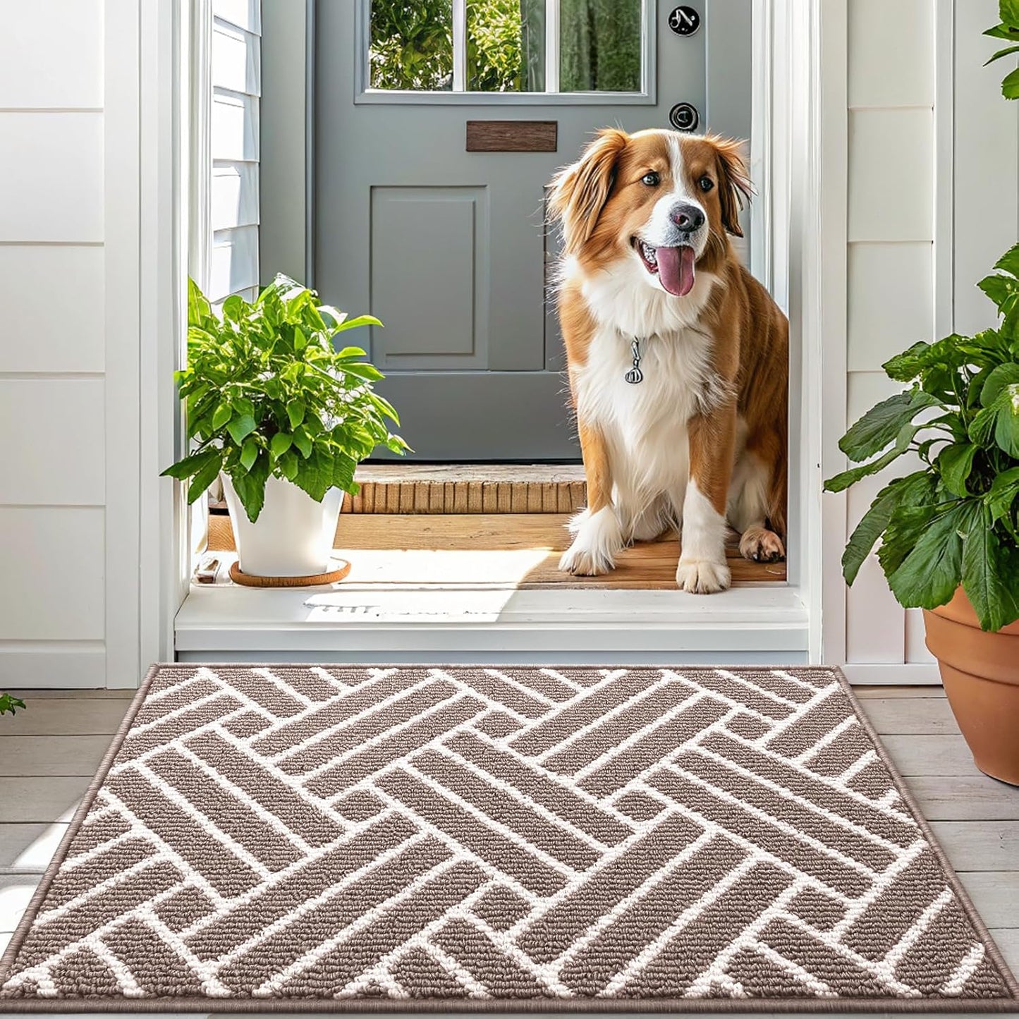 OLANLY Large Indoor Door Mat, 59x35 Inch, Dirt Resistant and Absorbent, Non-Slip Rubber Backing Floor Mats, Easy Clean Low-Profile Doormat for Entryway, Front Door, and Inside Entrance, Brown
