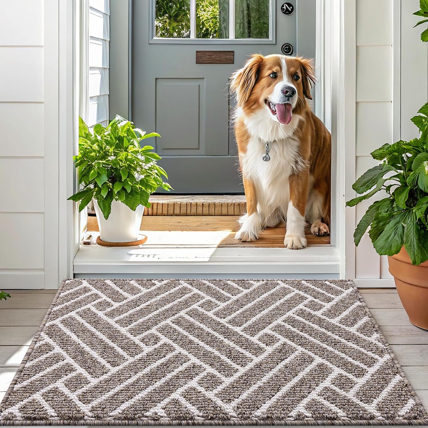 OLANLY Runner Indoor Door Mat, 59x23 Inch, Dirt Resistant and Absorbent, Non-Slip Rubber Backing Floor Mats, Easy Clean Low-Profile Doormat for Entryway, Front Door, and Inside Entrance, Khaki