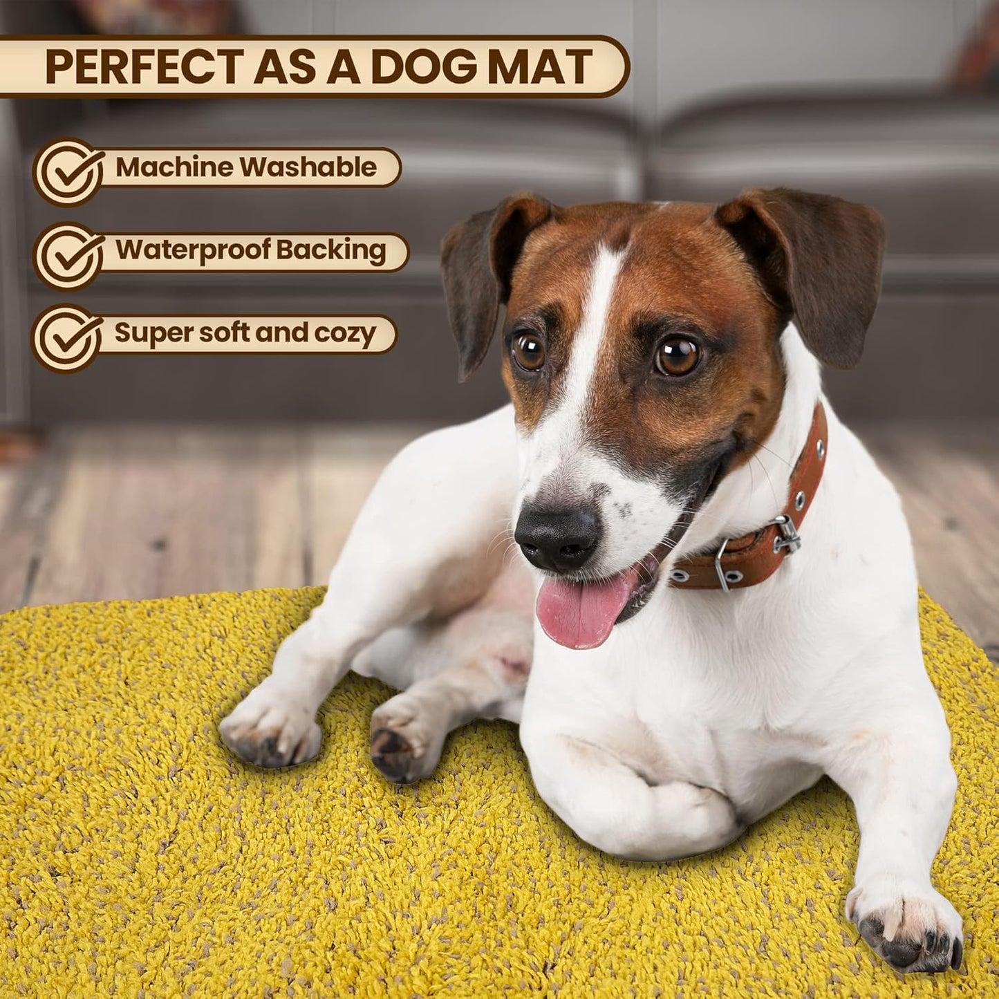 Premium Microfiber Indoor Door Mat – 24"x36" Washable Entry Mat, Non-Slip, Waterproof Backing, Super Absorbent, Low Profile Entryway Doormat for Indoor Entrance