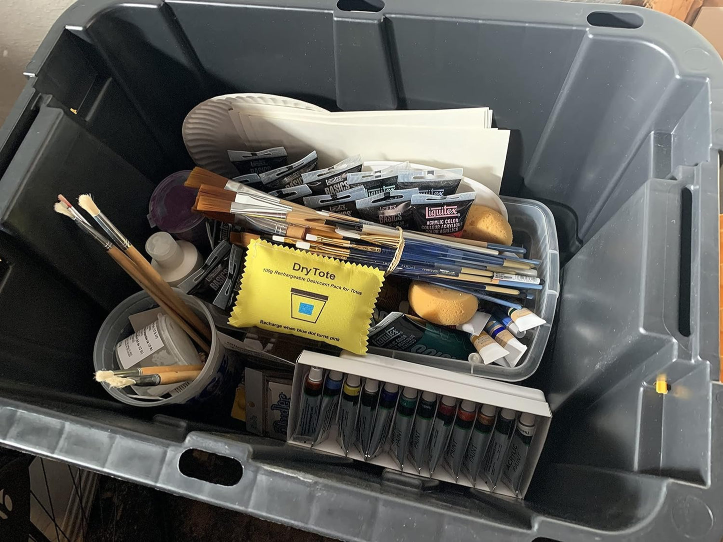 100g Rechargeable Desiccant Pack of 50 - Moisture Absorbing Bag - Silica Gel Desiccant Dehumidifier for Storage Bins and Totes