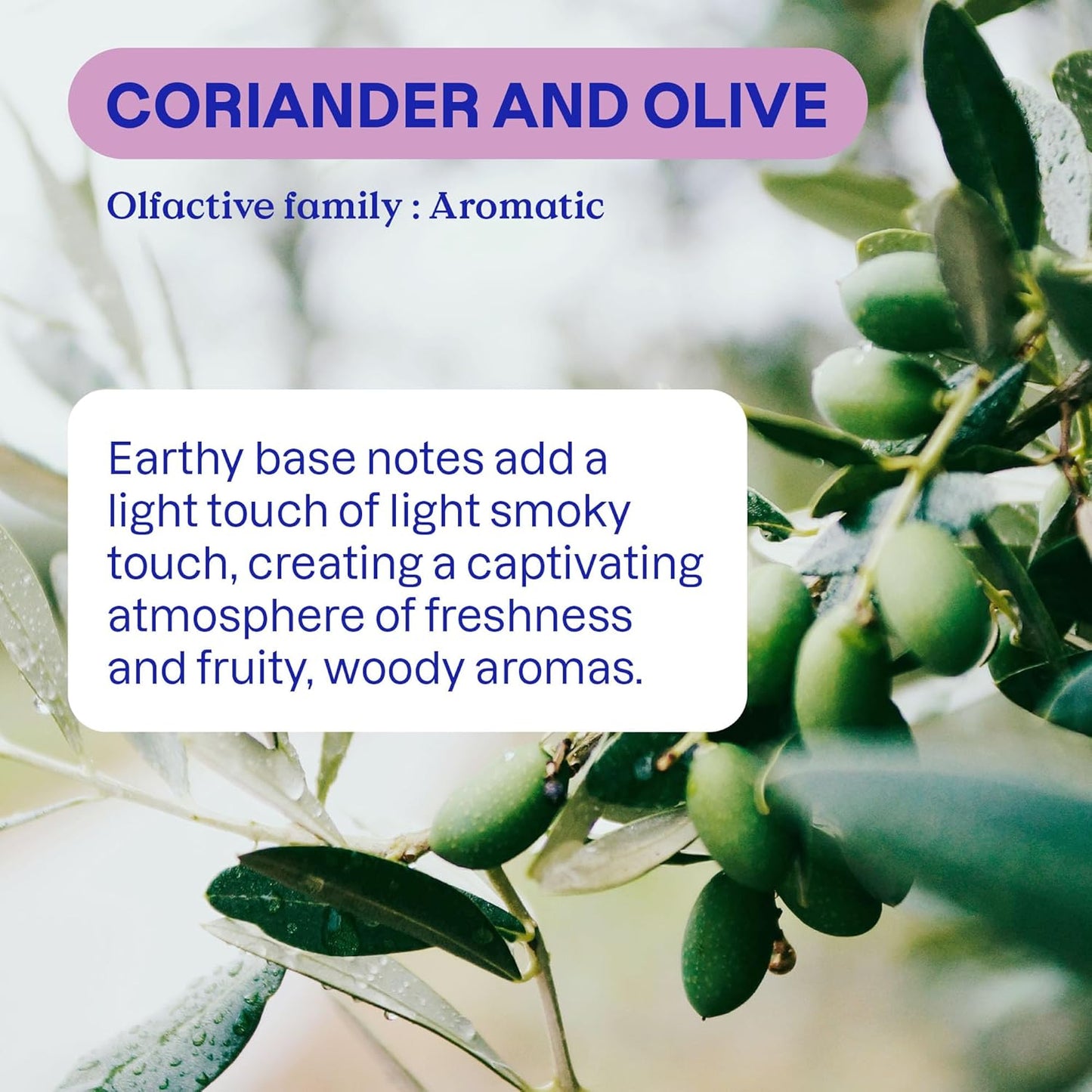 ATTITUDE Dish Soap, EWG Verified, Plant-Based & Vegan Dishwashing Liquid, Naturally Derived, Olive and Coriander Scent, 23.7 Fl Oz