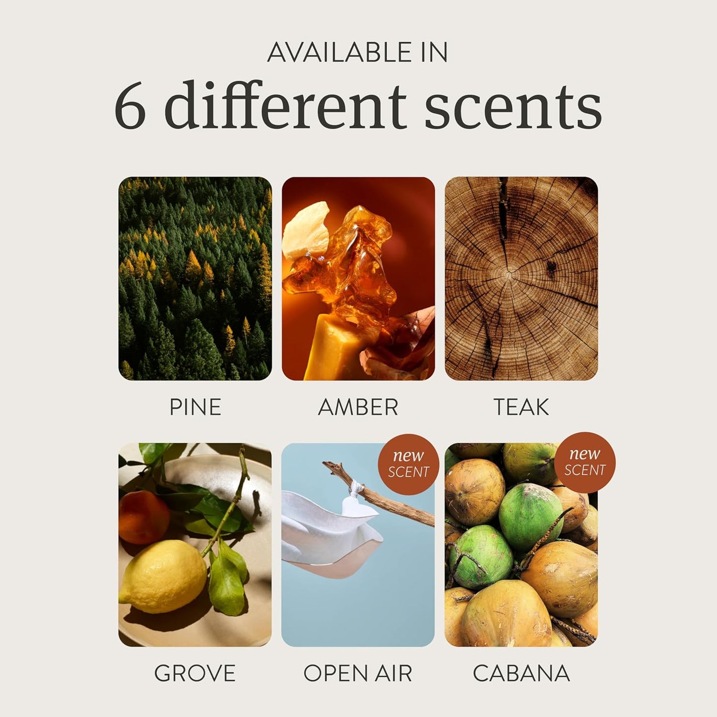 Drift Car Air Freshener - Stone Air Freshener Car Odor Eliminator - Long Lasting Scent - Auto Accessories - Metal Clip - Essential Oils - Clean Ingredients - Amber Scent Starter Kit