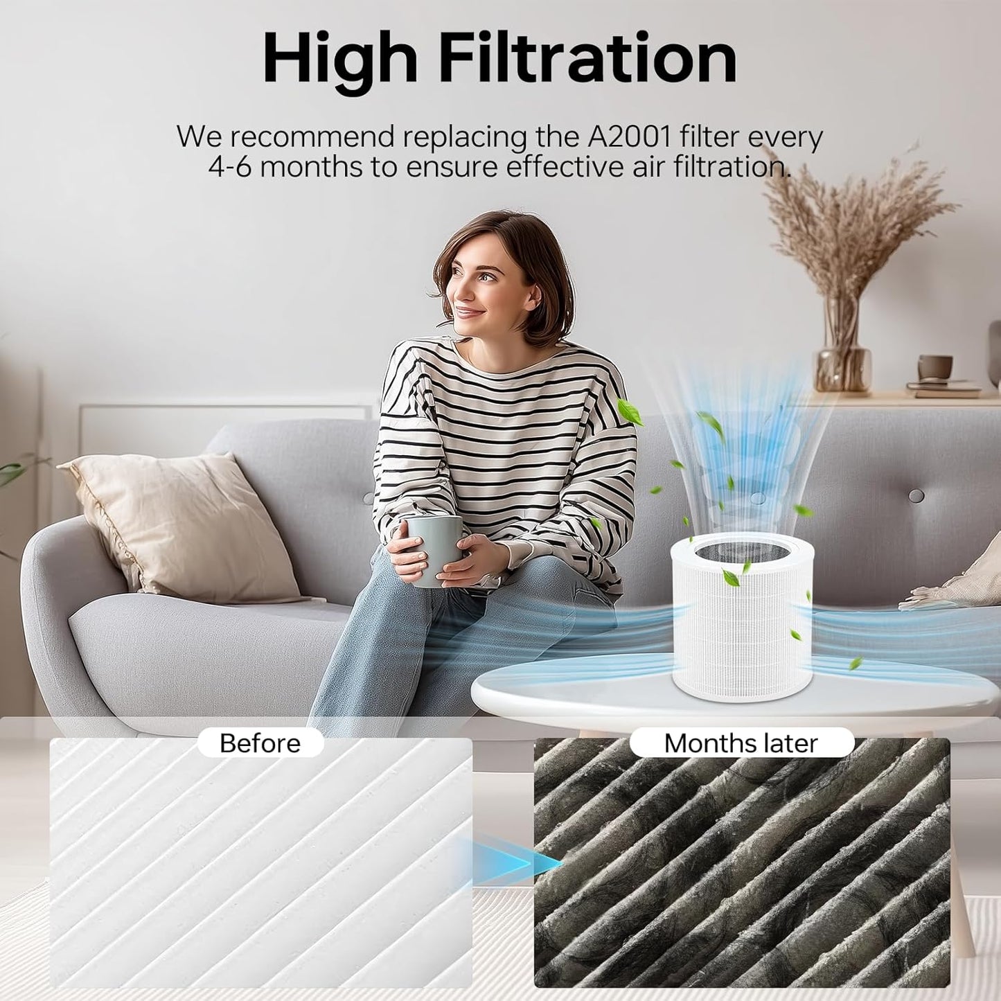 A2001 replacement filter, 3-in-1 True air purifier A2001 replacement part, compatible with par, efficient filtration with activated carbon layer, 2 packs