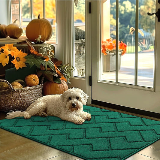 hicorfe Indoor Door Mat,Non Slip Door Mats,32"x48" Front Back Door Mat Rubber Backing,Absorbent Resist Dirt Entrance Inside Floor Mats for Entryway Washable Low-Profile(Evergreen)