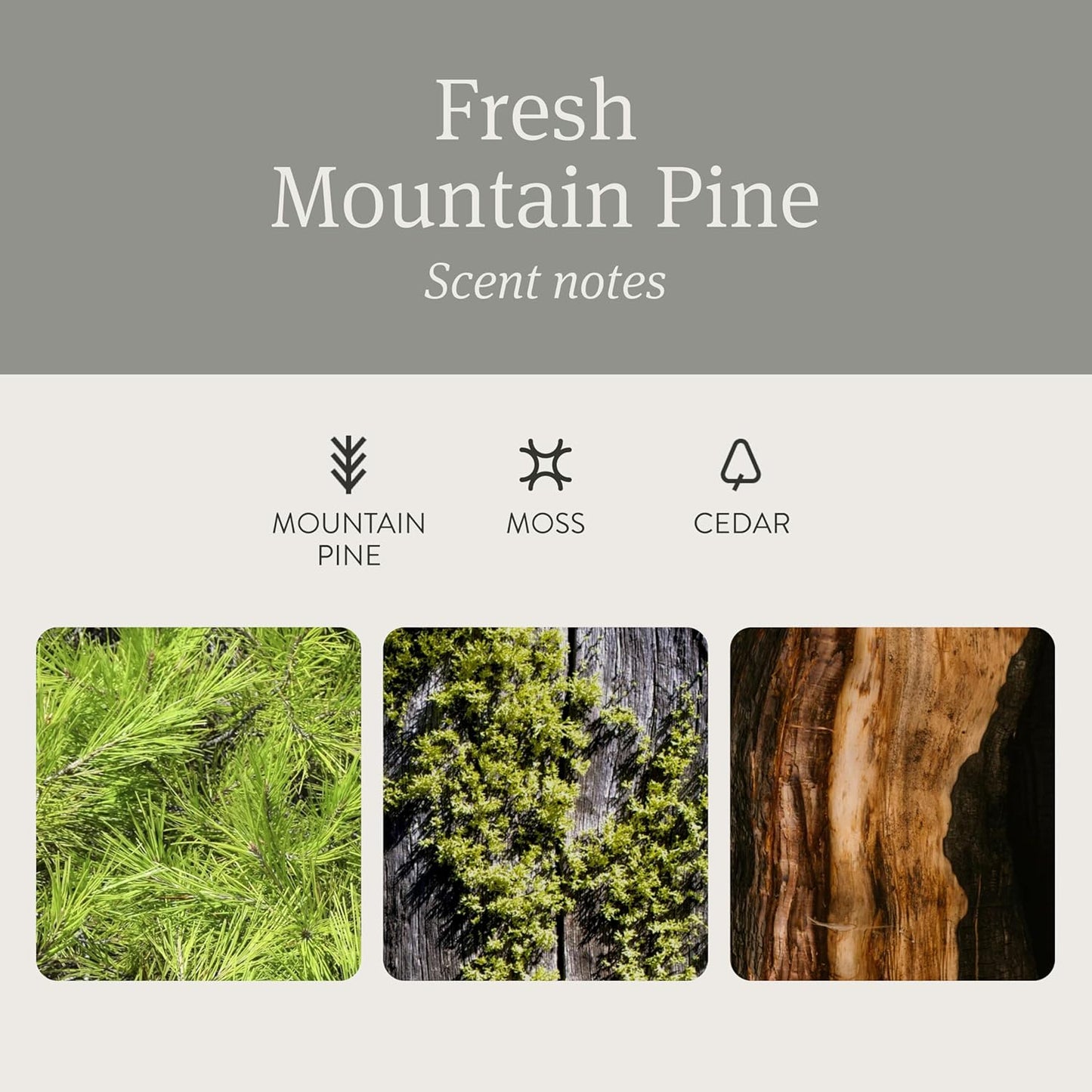 Drift Car Air Freshener - Stone Air Freshener Car Odor Eliminator - Long Lasting Scent - Auto Accessories - Metal Clip - Essential Oils - Clean Ingredients - Pine Scent Starter Kit